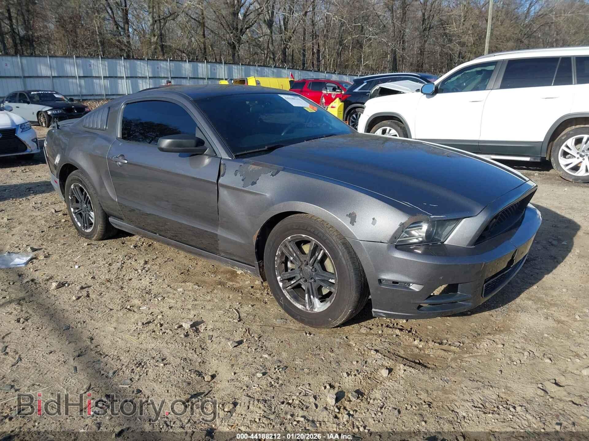 Фотография 1ZVBP8AM4E5325018 - FORD MUSTANG 2014
