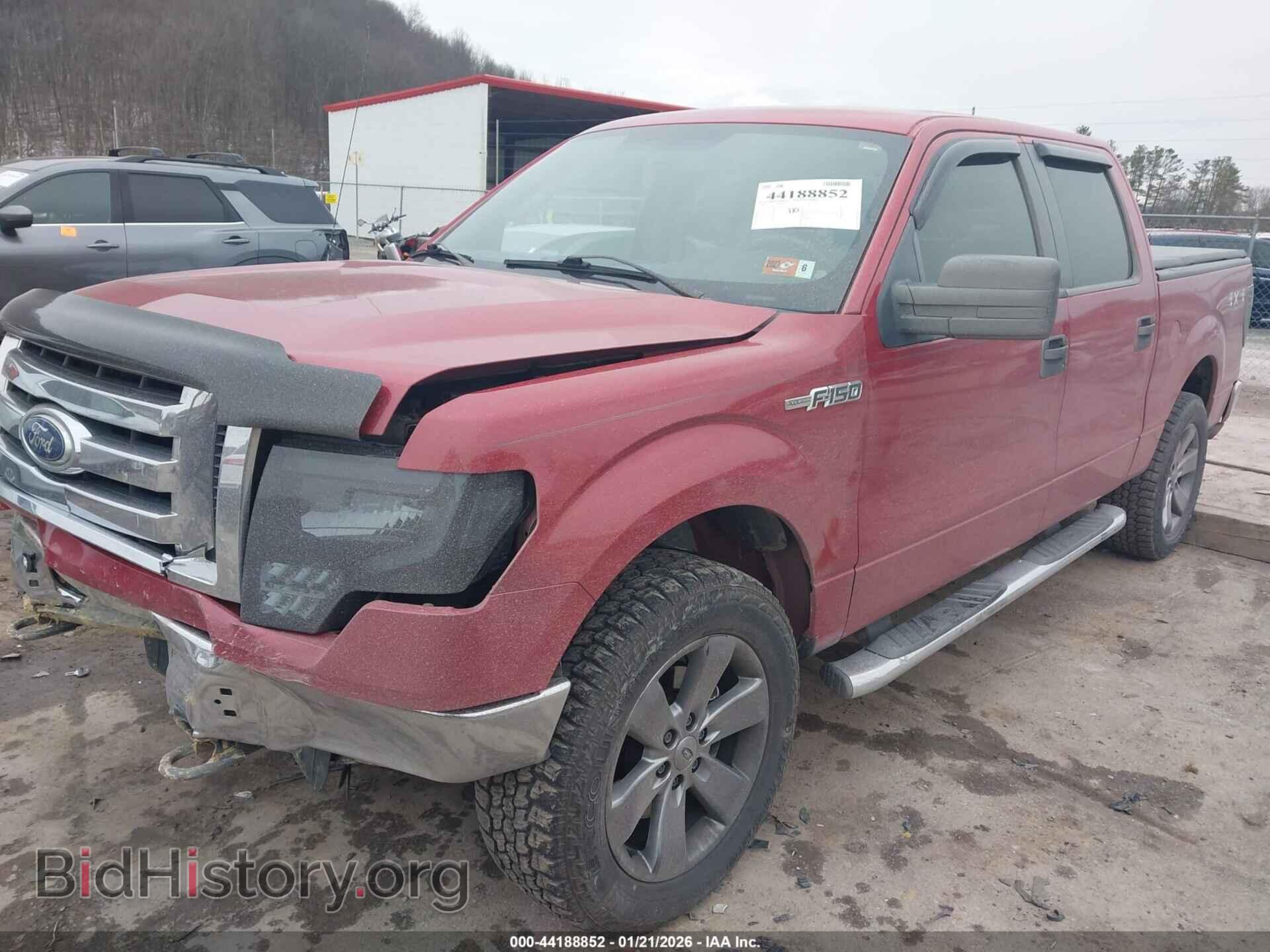 2010 FORD F-150 - VIN: 1FTEW1E89AFA54971 - Фото 2