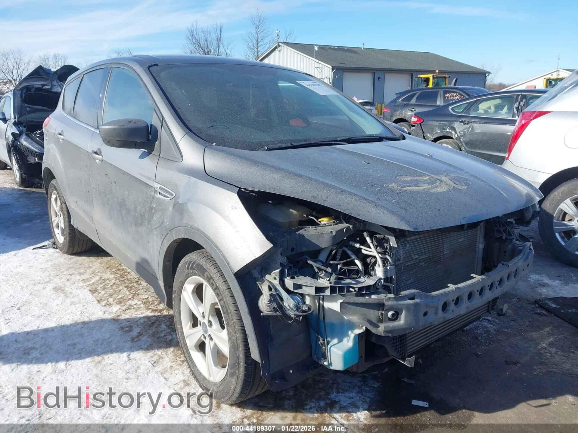 Фотография 1FMCU0GX4EUE09215 - FORD ESCAPE 2014