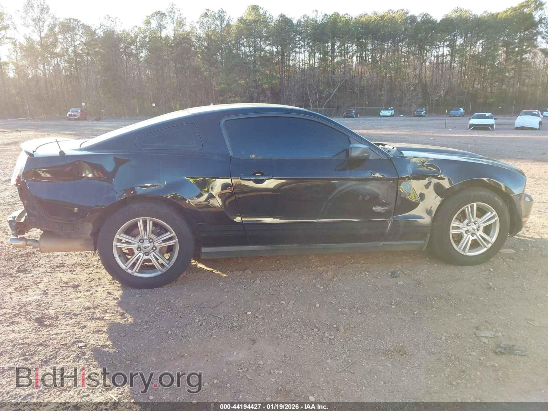 2012 FORD MUSTANG - VIN: 1ZVBP8AM5C5234028 - Фото 13