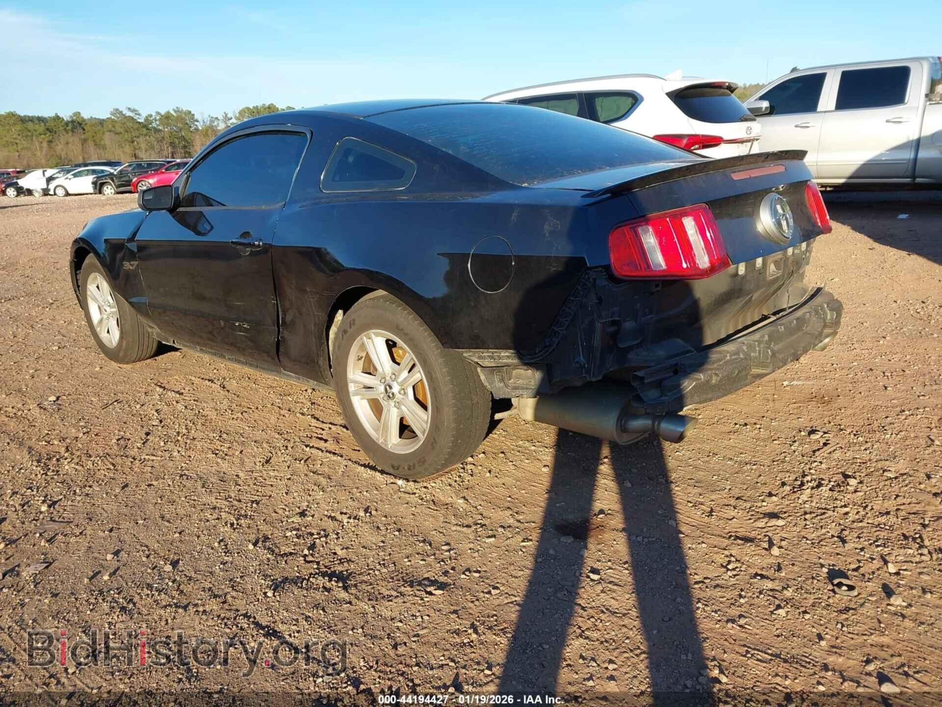 2012 FORD MUSTANG - VIN: 1ZVBP8AM5C5234028 - Фото 3