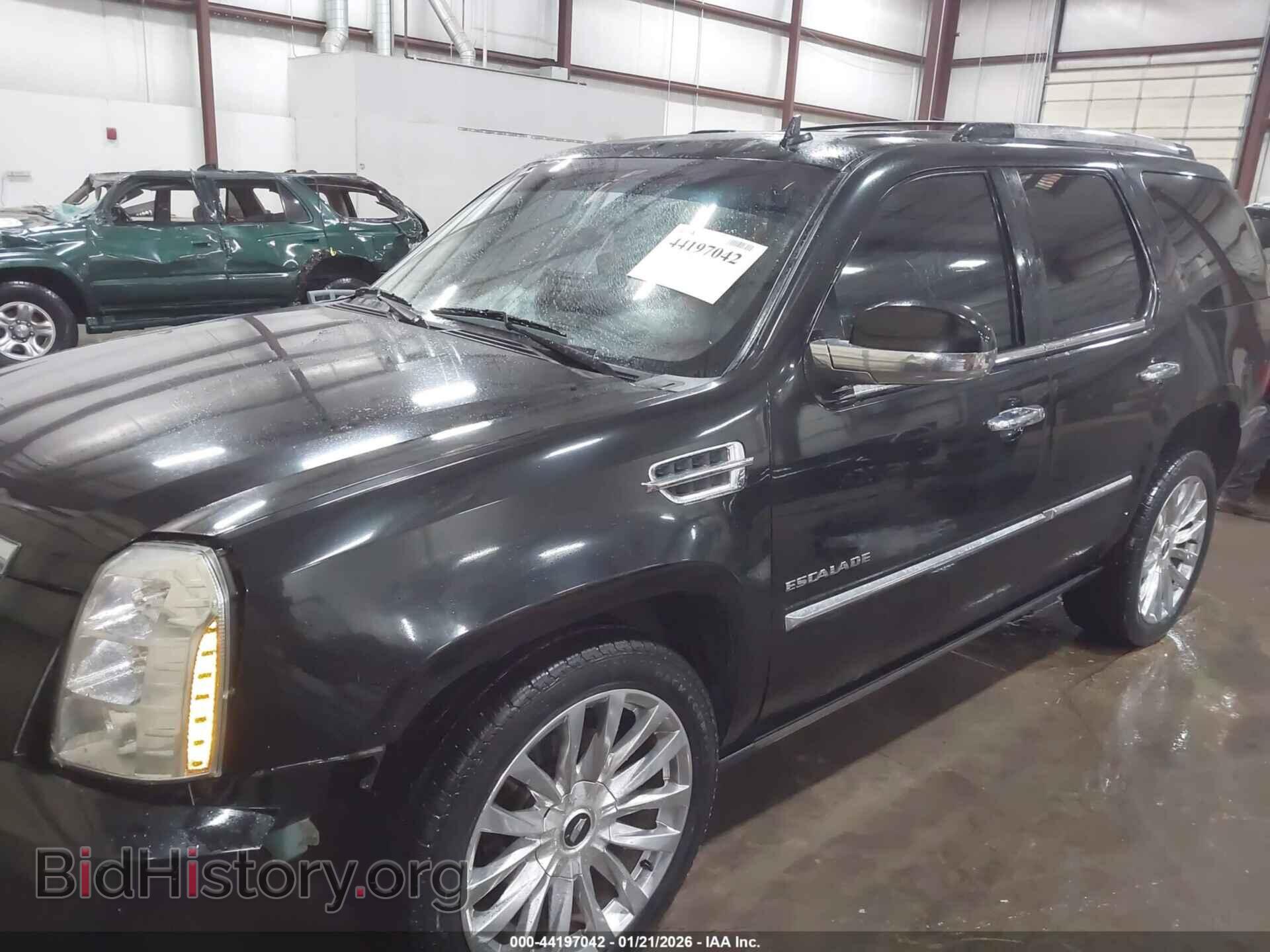 2011 CADILLAC ESCALADE - VIN: 1GYS4CEF0BR398931 - Фото 2