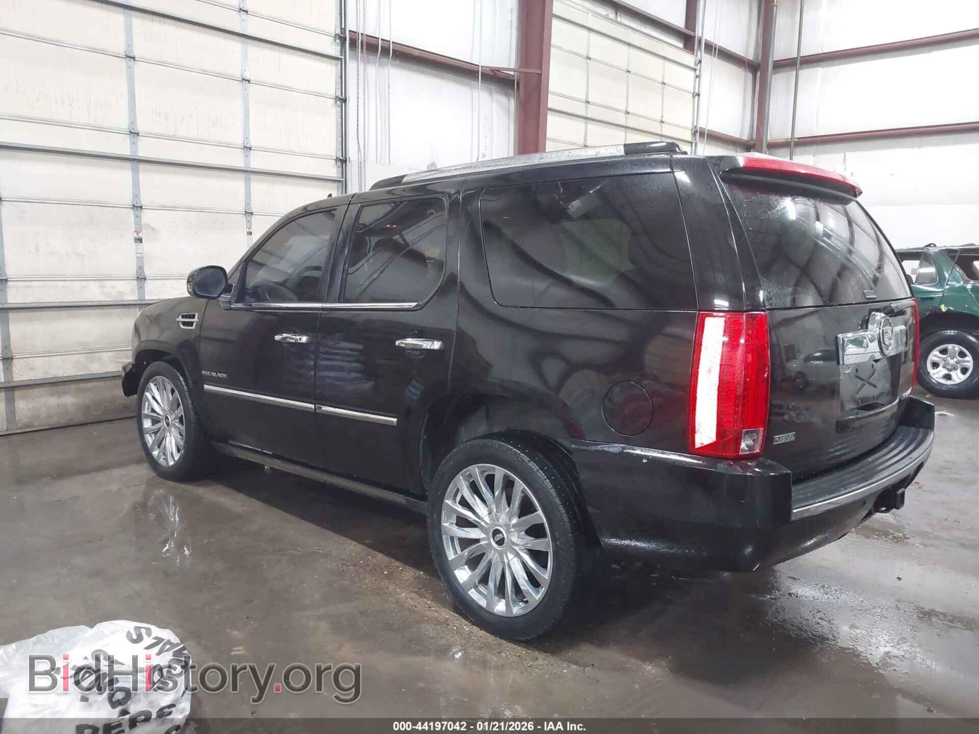 2011 CADILLAC ESCALADE - VIN: 1GYS4CEF0BR398931 - Фото 3