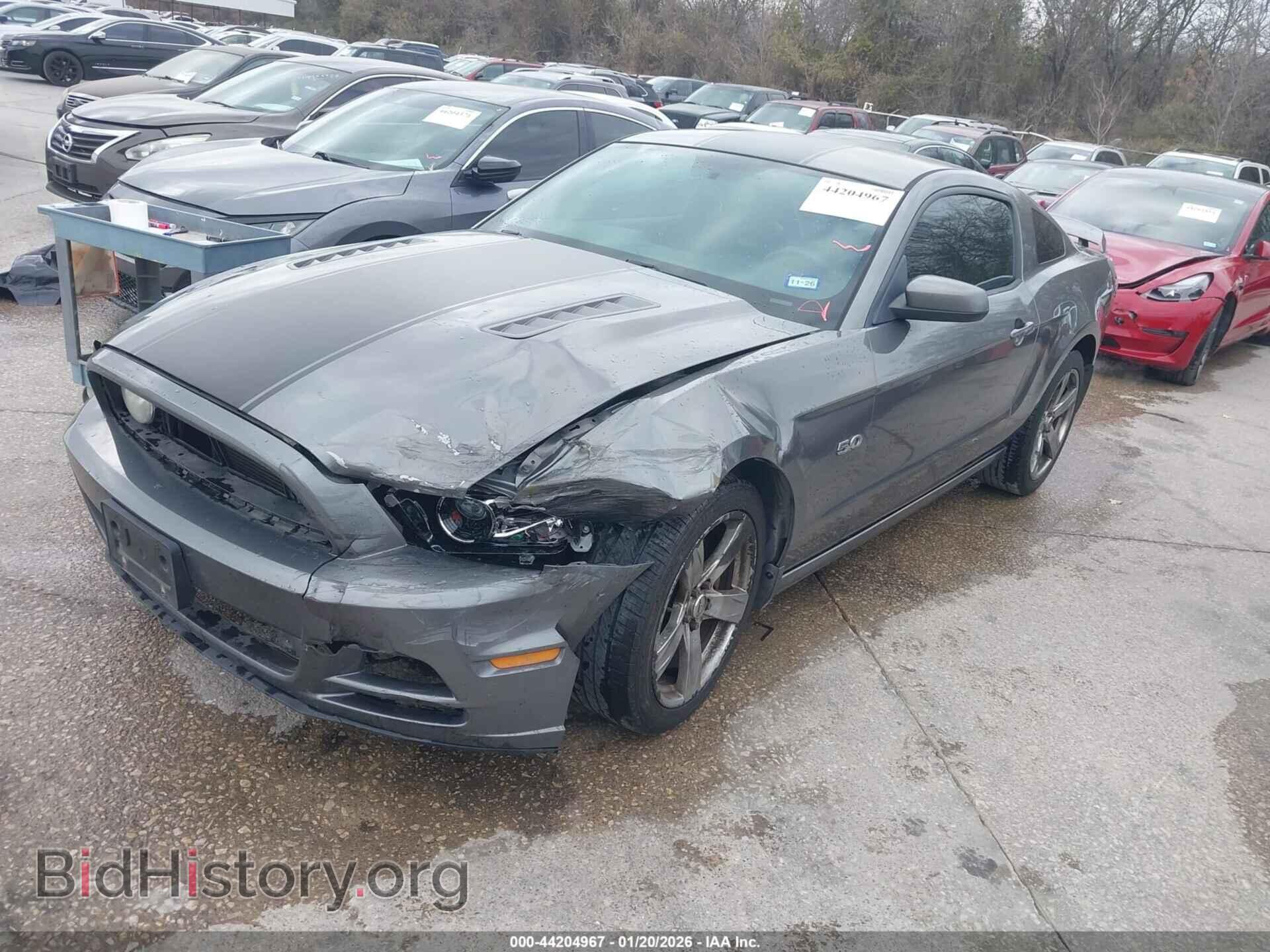 2013 FORD MUSTANG - VIN: 1ZVBP8CF5D5238659 - Фото 2