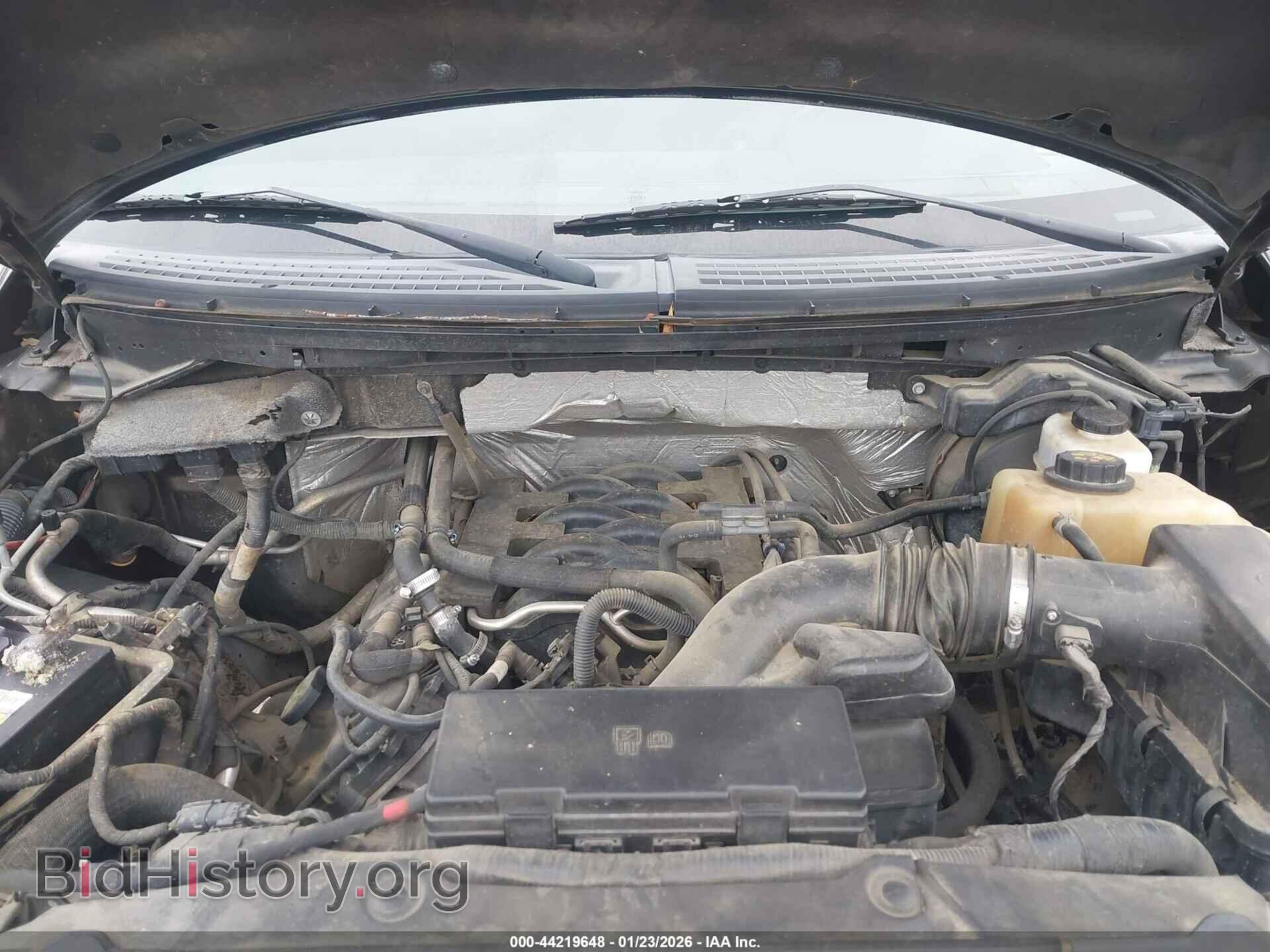 2011 FORD F-150 - VIN: 1FTFW1EF2BFC02821 - Фото 10