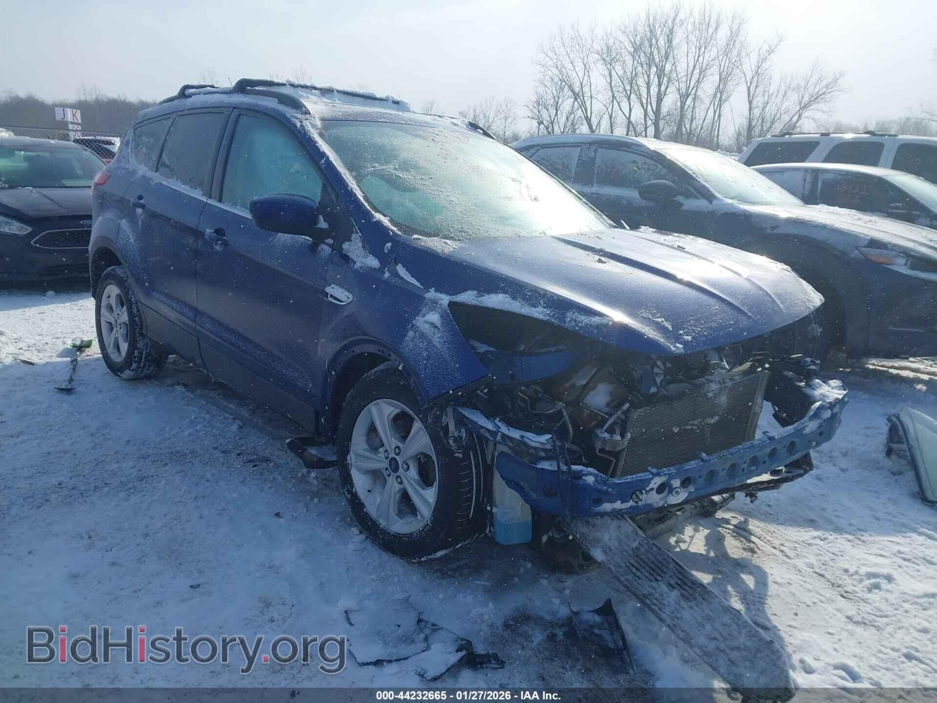 Photo 1FMCU0GX8EUE08701 - FORD ESCAPE 2014