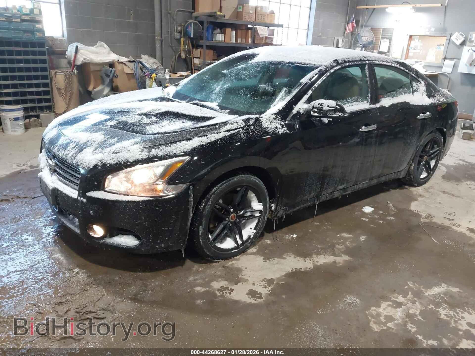 Фотография 1N4AA5APXBC867651 - NISSAN MAXIMA 2011