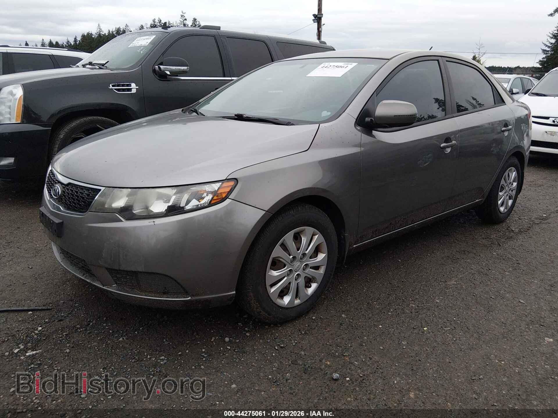 2013 KIA FORTE - VIN: KNAFU4A26D5669675 - Фото 2