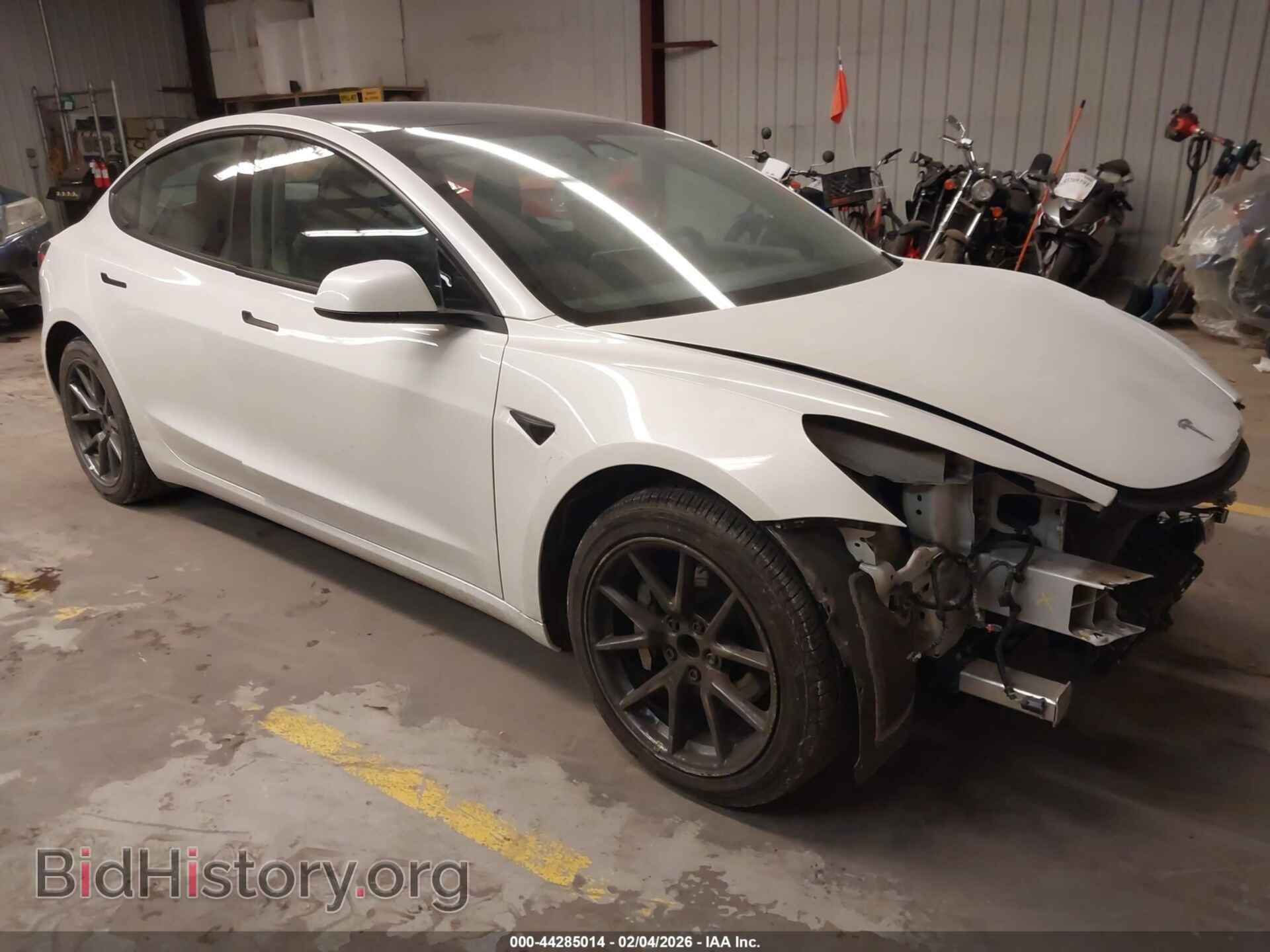 Photo 5YJ3E1EA2MF045955 - TESLA MODEL 3 2021