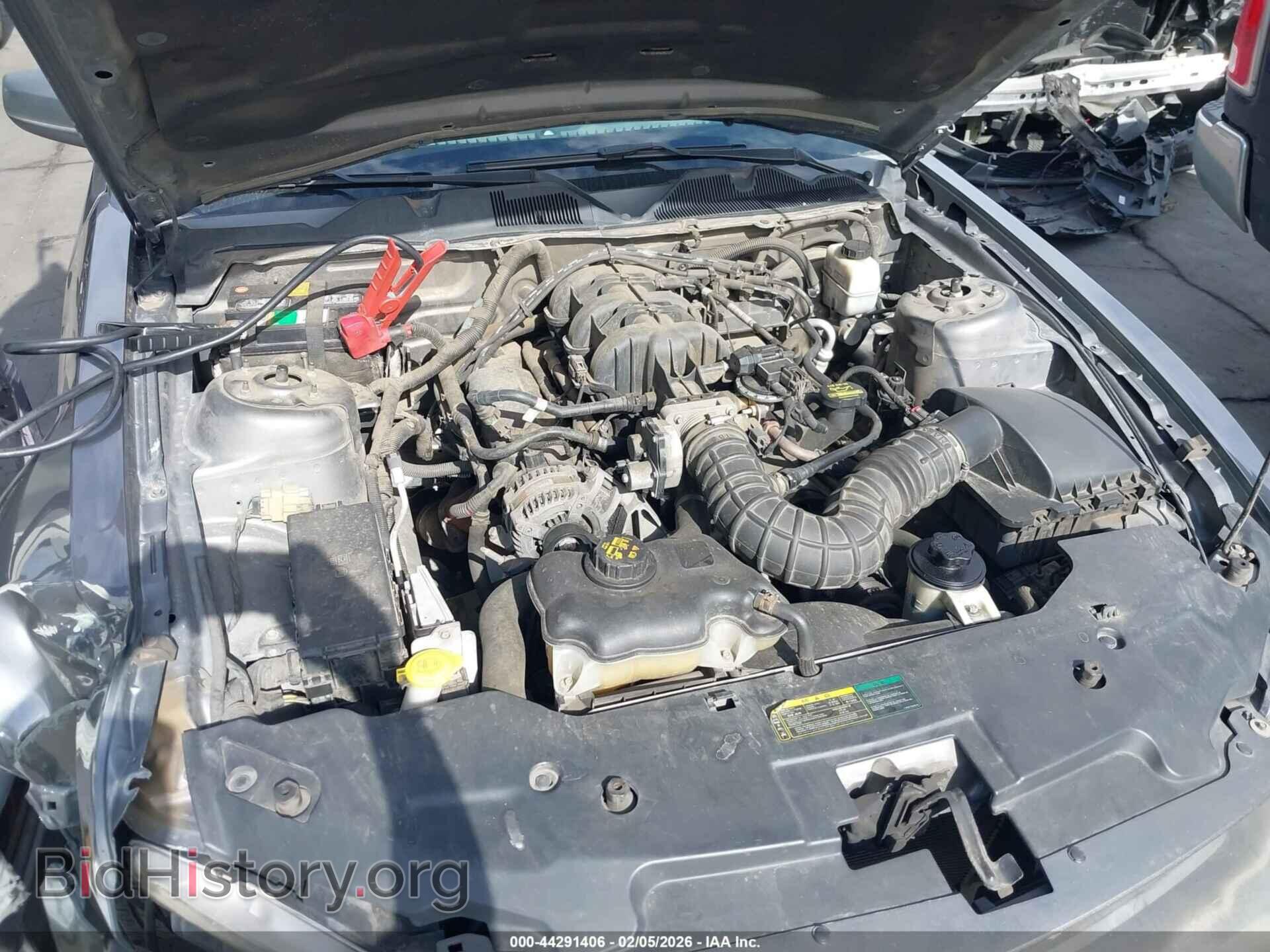 2010 FORD MUSTANG - VIN: 1ZVBP8AN2A5157768 - Фото 10