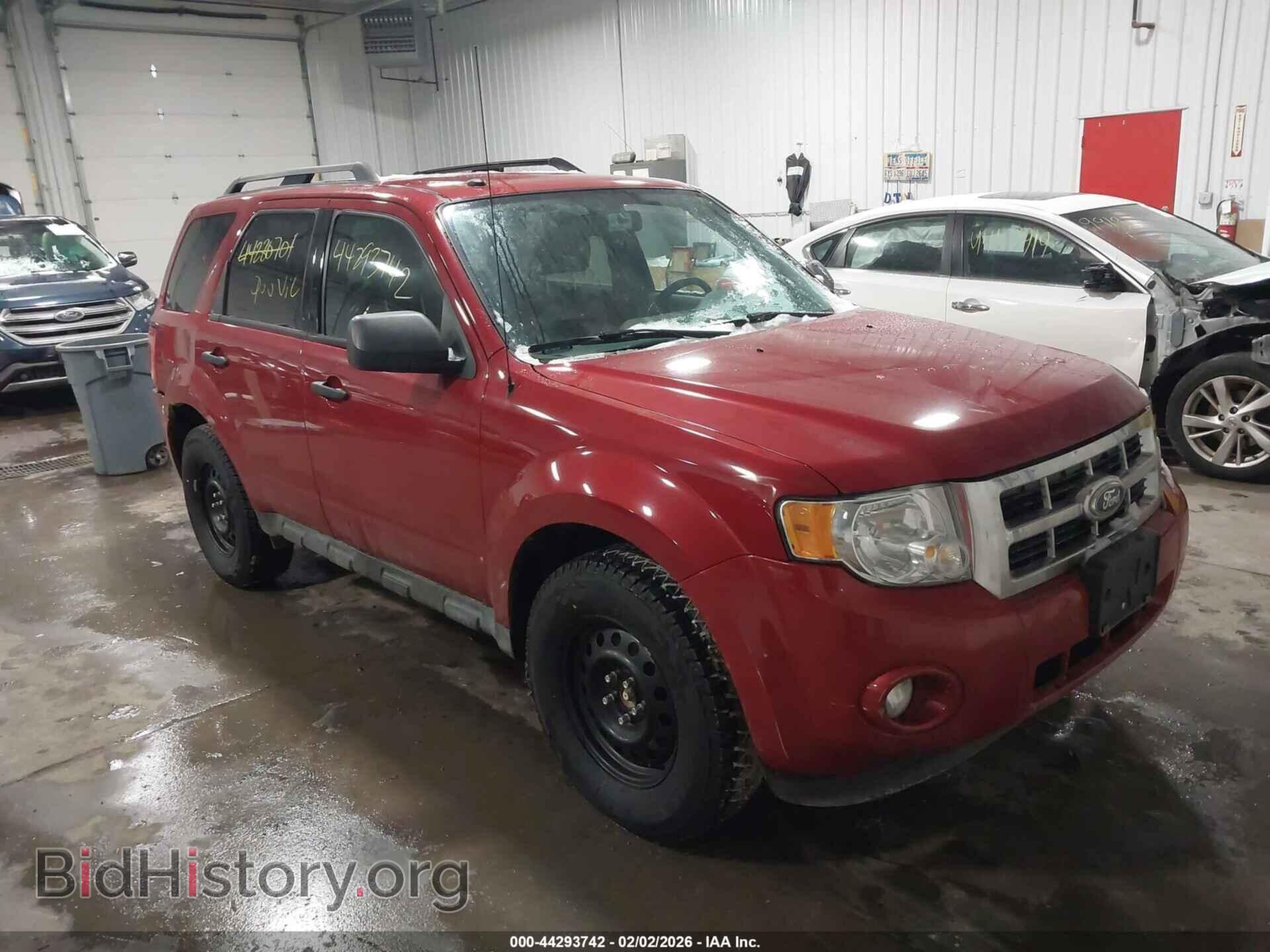 Фотография 1FMCU0DG4AKB07322 - FORD ESCAPE 2010