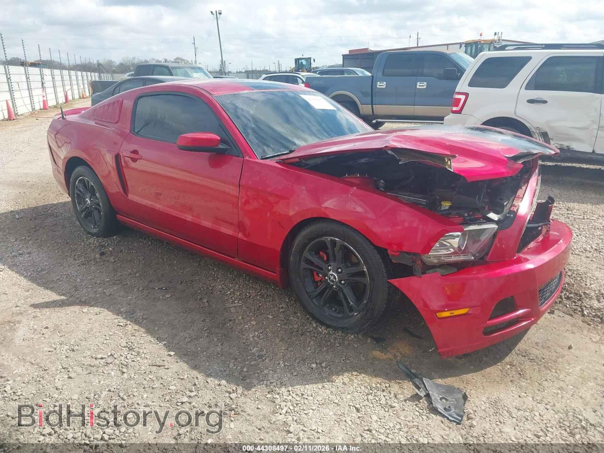 Фотография 1ZVBP8AM8D5252511 - FORD MUSTANG 2013
