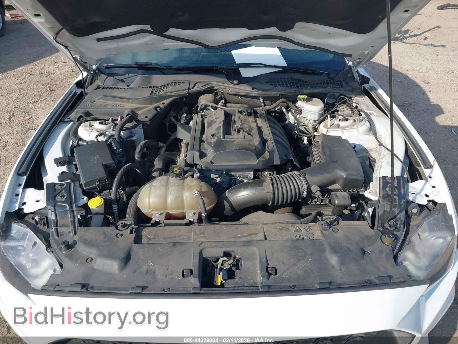 2019 FORD MUSTANG - VIN: 1FA6P8TH2K5117984 - Photo 10