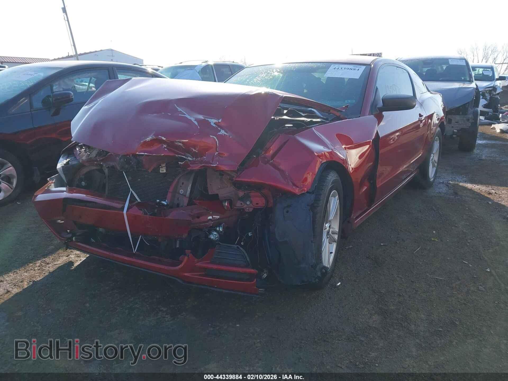 2014 FORD MUSTANG - VIN: 1ZVBP8AM8E5287437 - Фото 2