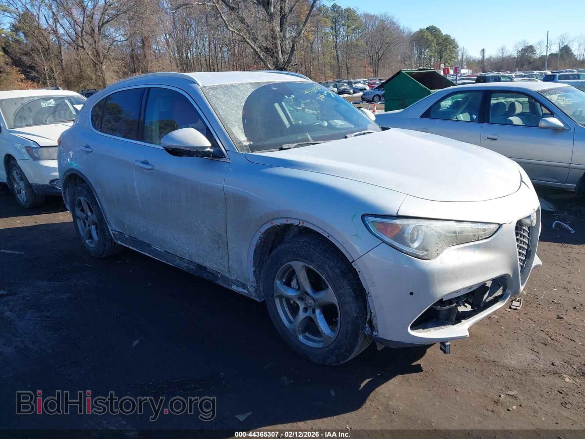 Фотография ZASPAKAN2M7D12973 - ALFA ROMEO STELVIO 2021