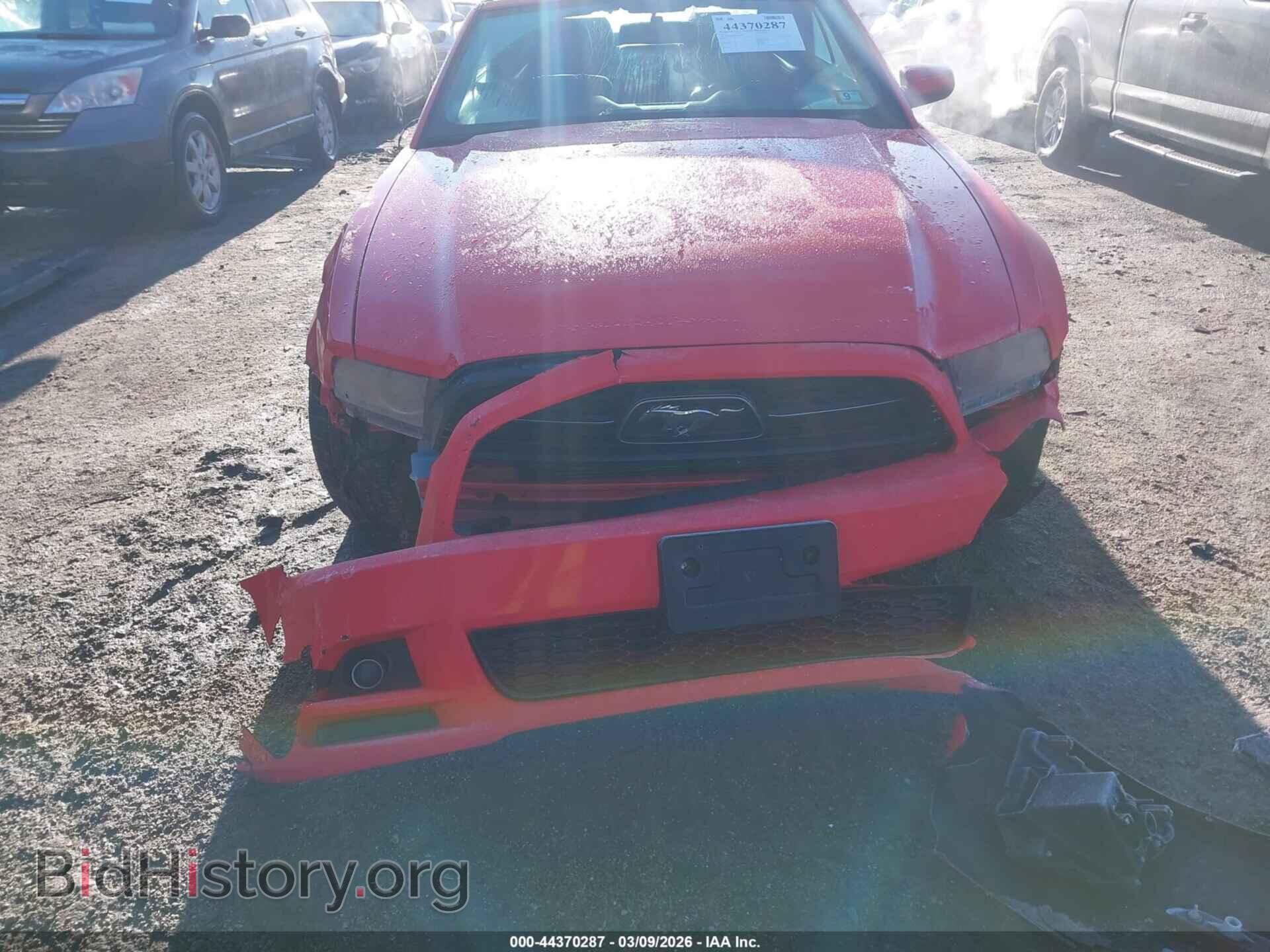 2013 FORD MUSTANG - VIN: 1ZVBP8EM8D5208602 - Фото 6