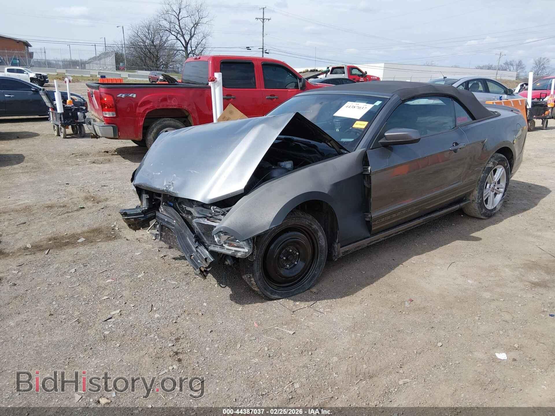 2013 FORD MUSTANG - VIN: 1ZVBP8EM4D5219354 - Фото 2