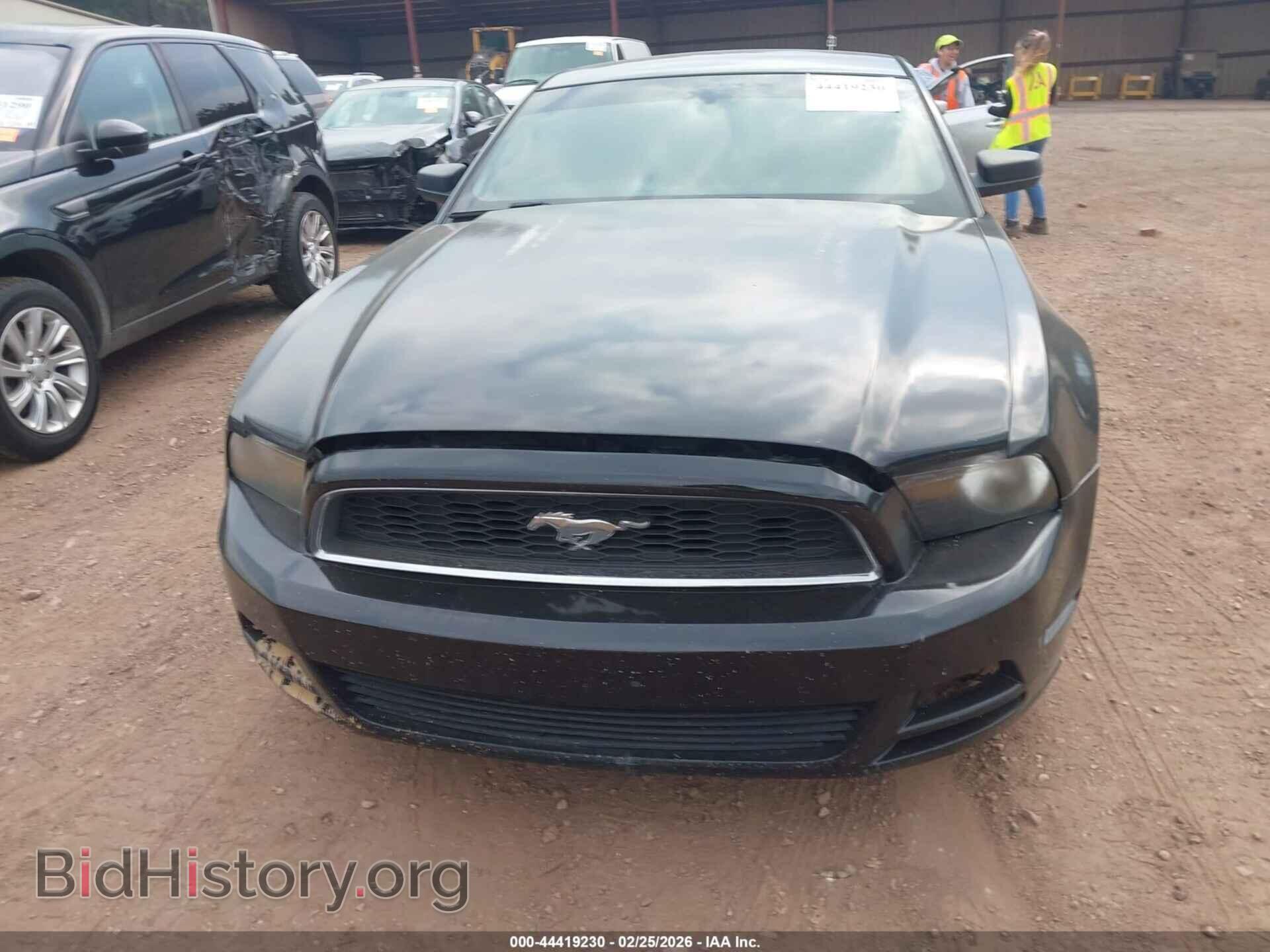 2013 FORD MUSTANG - VIN: 1ZVBP8AM3D5259141 - Фото 6
