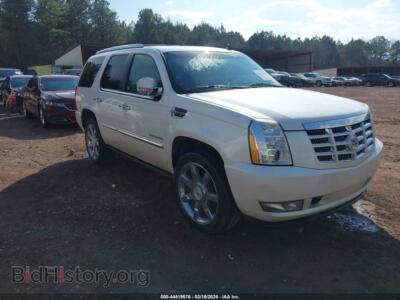 2010 Cadillac ESCALADE Premium, кремовый — VIN 1GYUCCEF3AR240027, IAAI