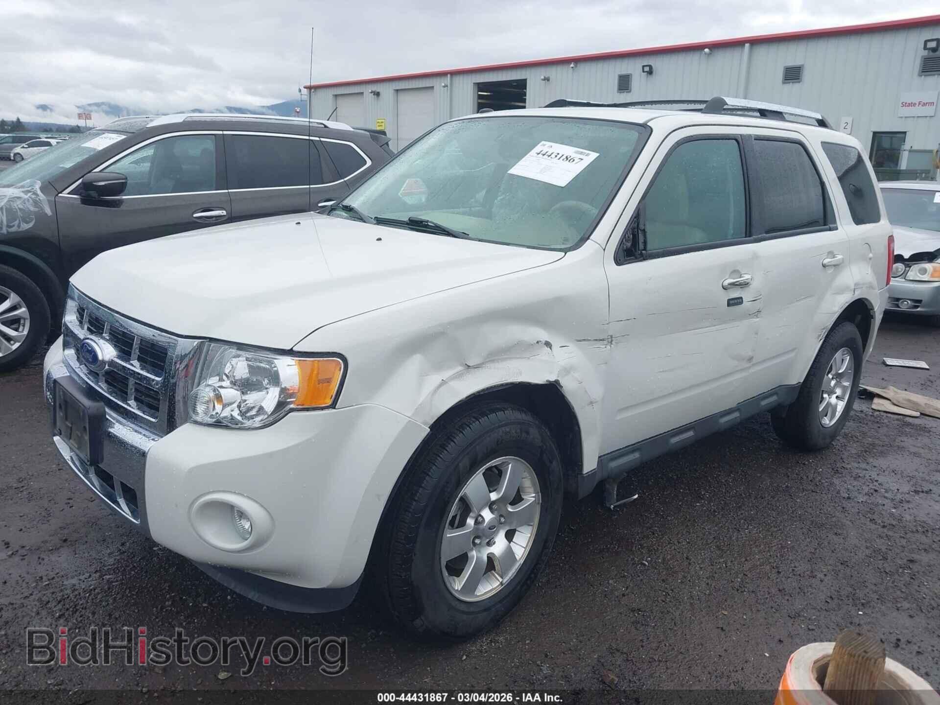 2011 FORD ESCAPE - VIN: 1FMCU9EG8BKC54702 - Фото 2