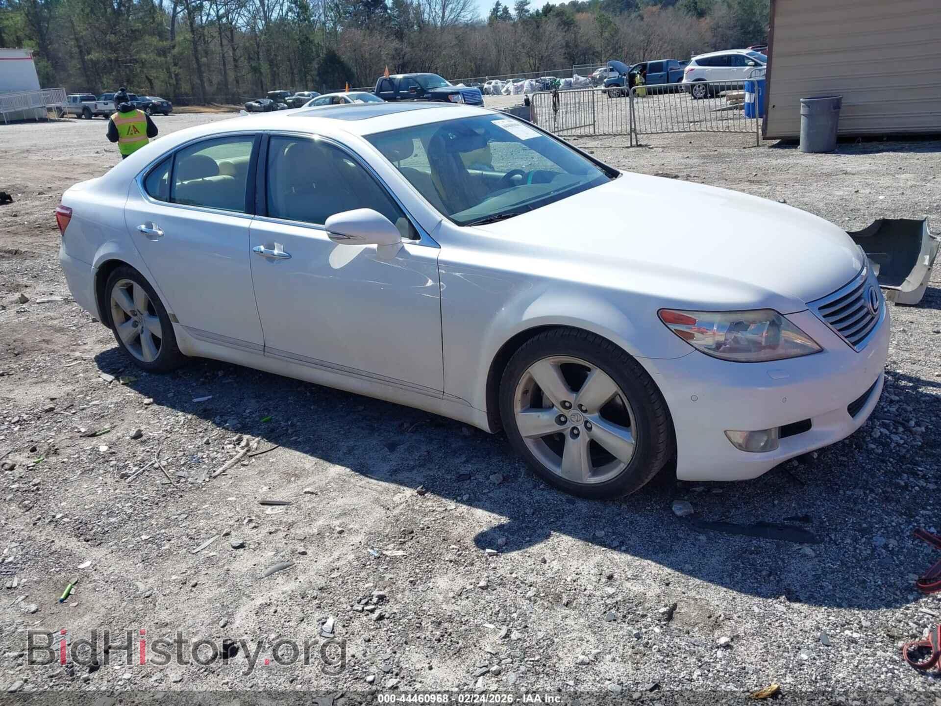 Фотография JTHBL5EF6C5113306 - LEXUS LS 460 2012