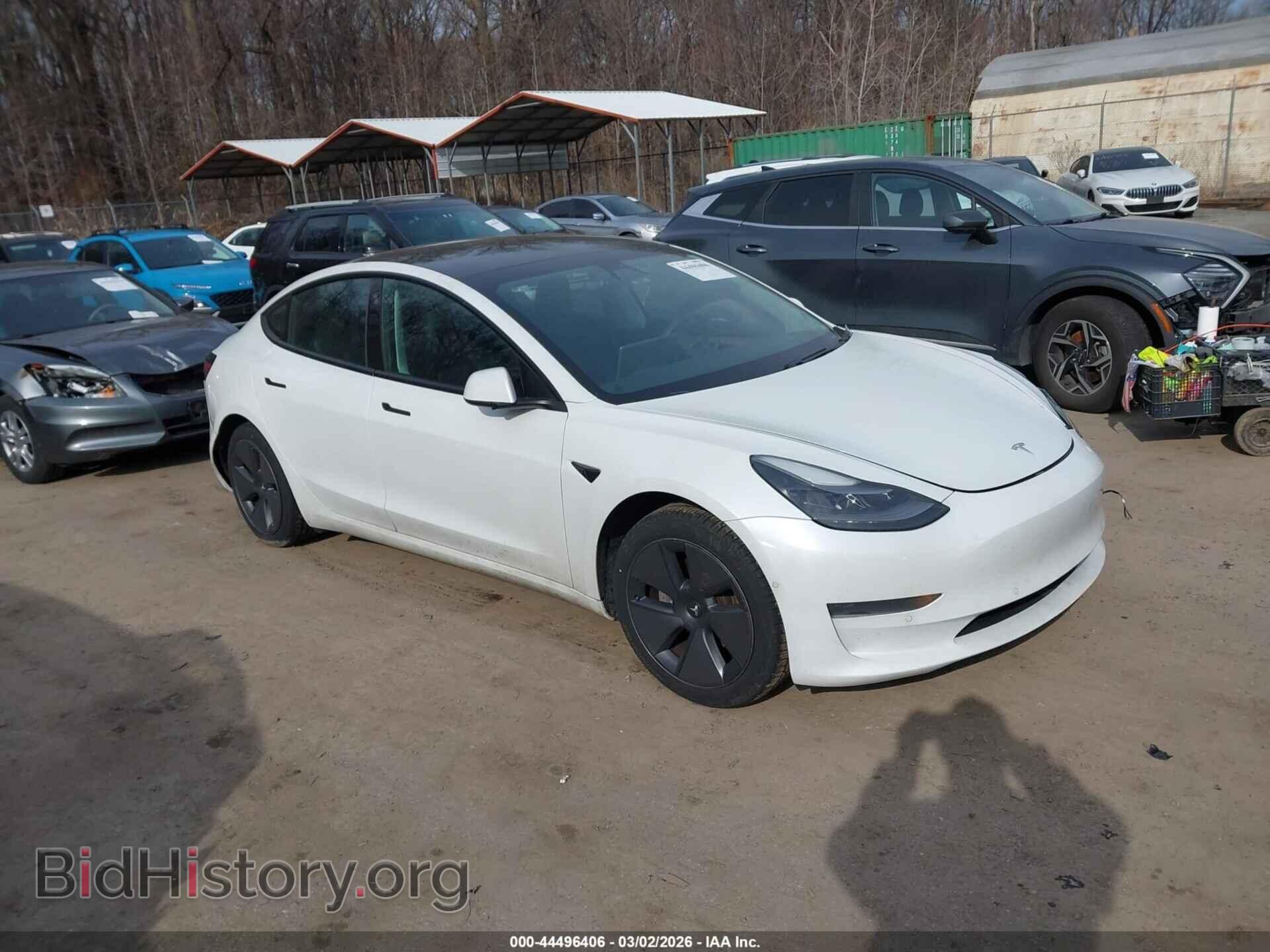 Photo 5YJ3E1EA2MF046569 - TESLA MODEL 3 2021