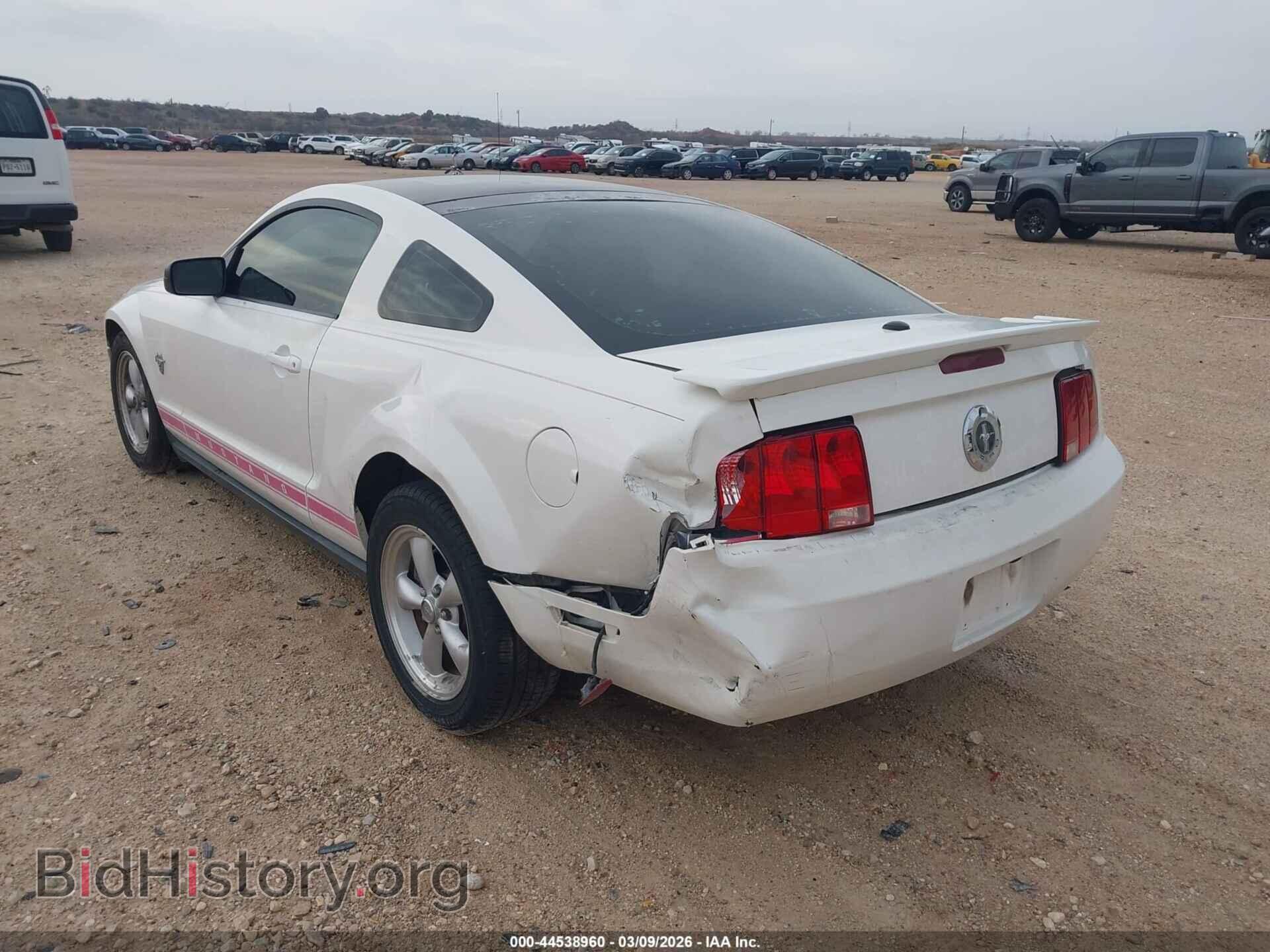 2009 FORD MUSTANG - VIN: 1ZVHT80N795131699 - Фото 3