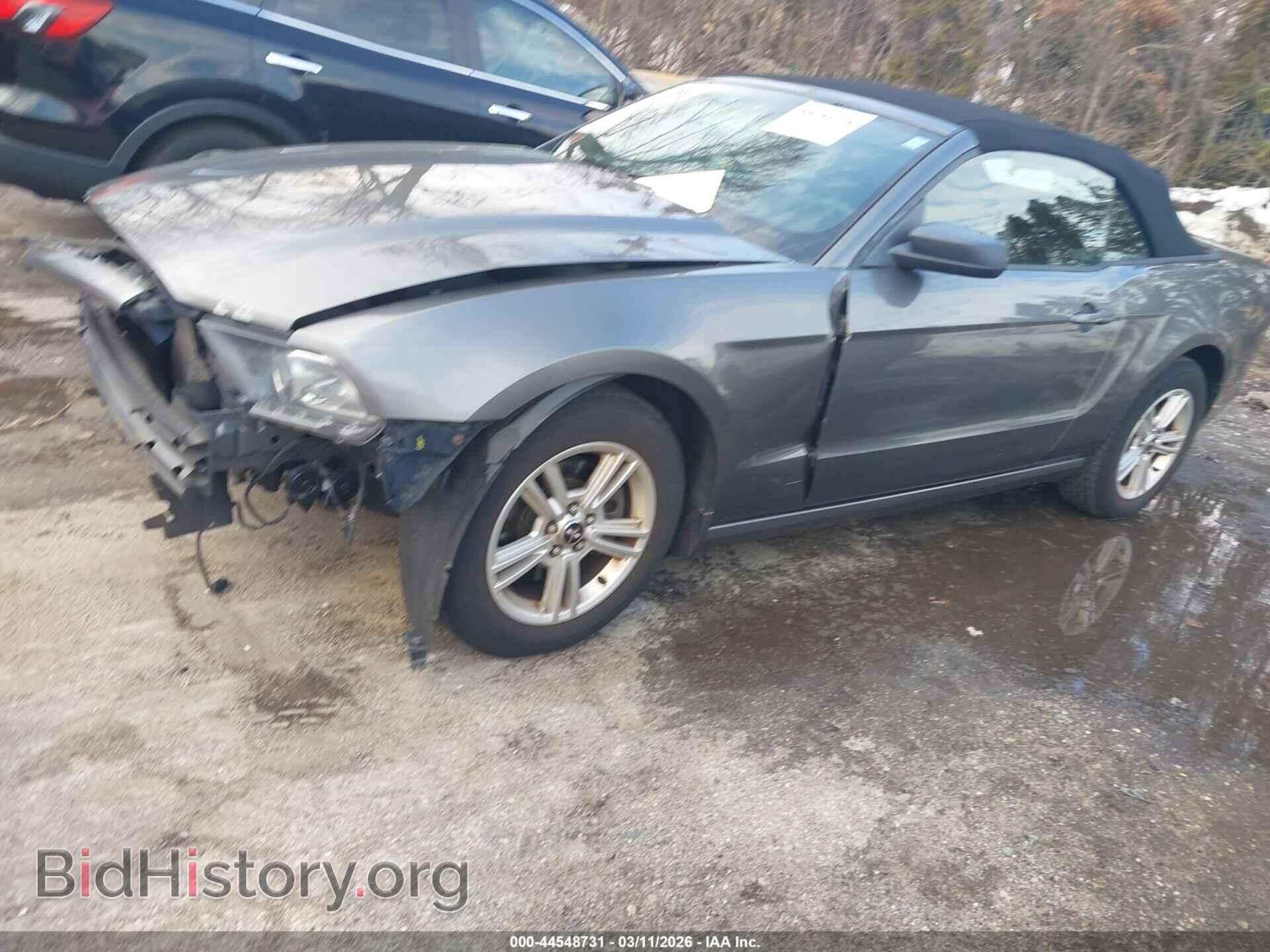 2013 FORD MUSTANG - VIN: 1ZVBP8EM4D5224490 - Фото 2