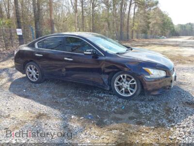 2012 Nissan MAXIMA 3.5 SV, фиолетовый — VIN 1N4AA5AP1CC861125, IAAI
