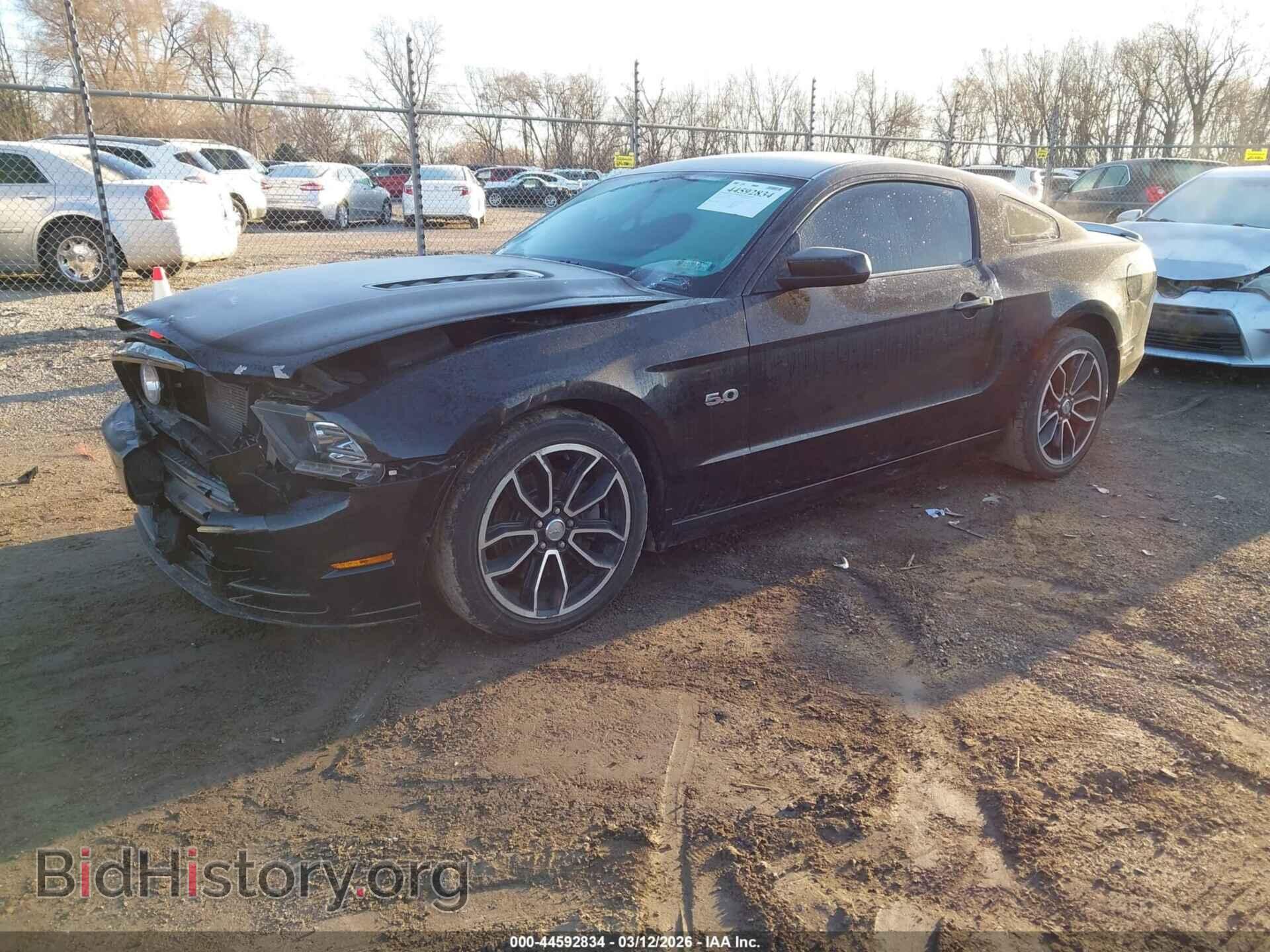 2013 FORD MUSTANG - VIN: 1ZVBP8CF7D5278242 - Фото 2