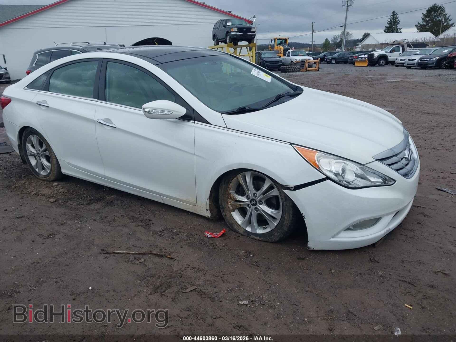 Photo 5NPEC4AC6DH674840 - HYUNDAI SONATA 2013