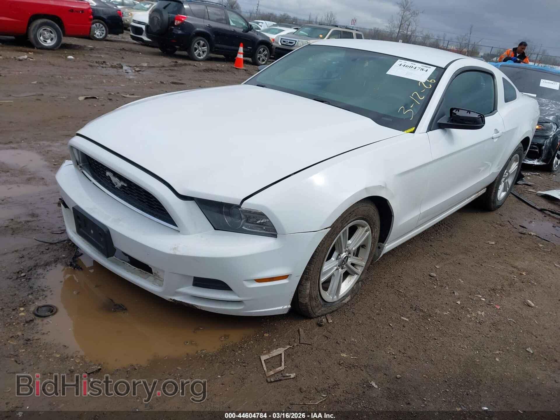 2014 FORD MUSTANG - VIN: 1ZVBP8AM9E5258769 - Фото 2