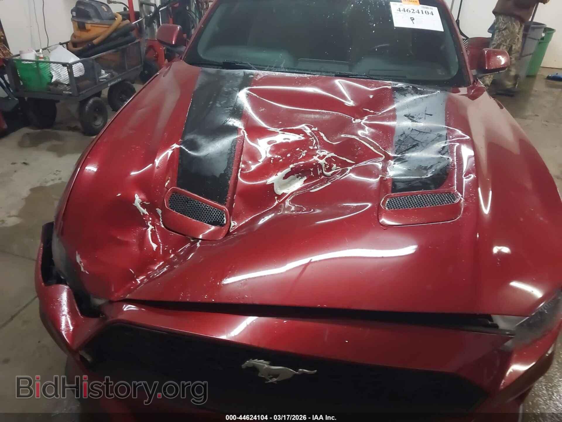2019 FORD MUSTANG - VIN: 1FA6P8THXK5112516 - Фото 6