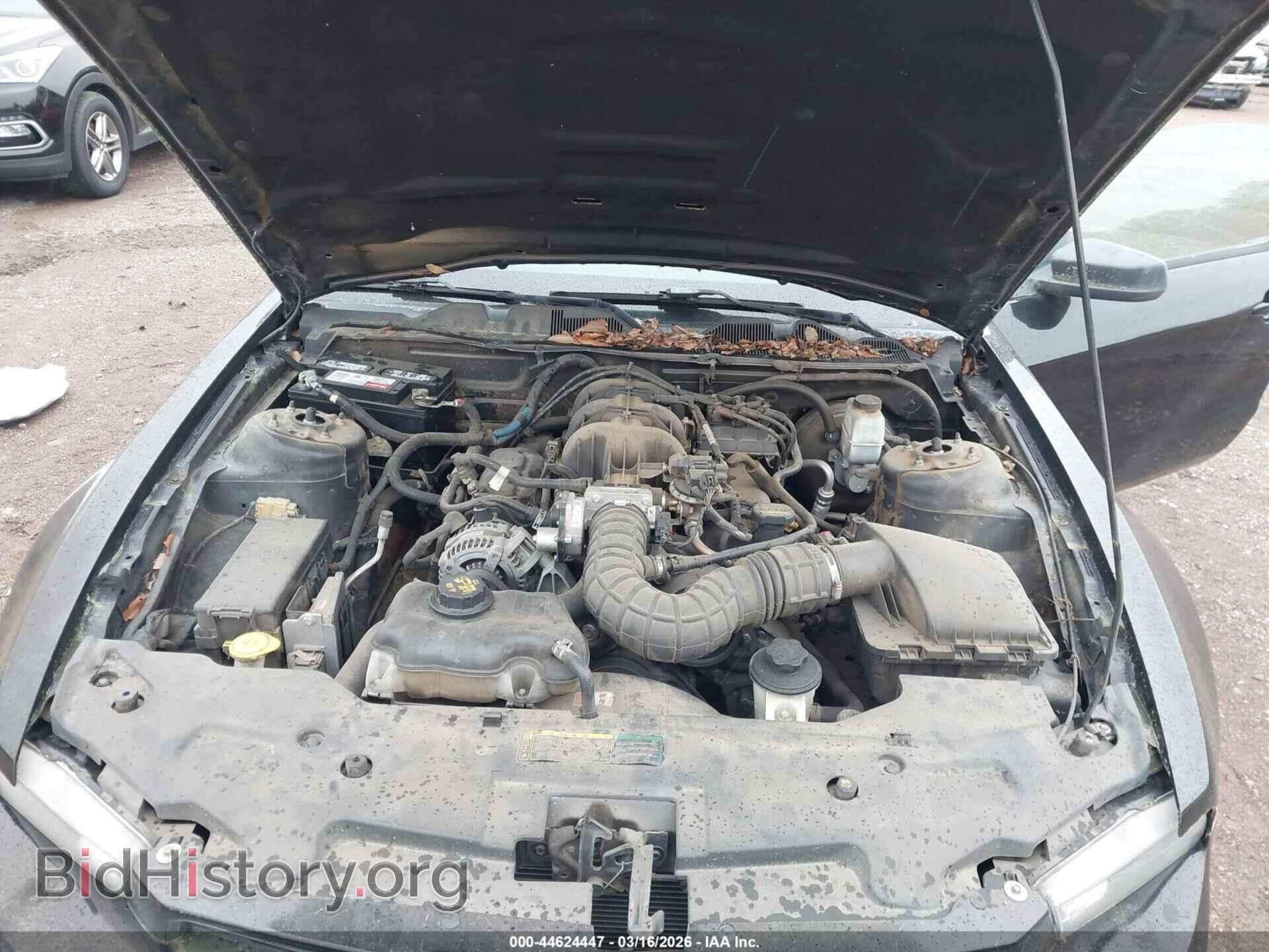 2010 FORD MUSTANG - VIN: 1ZVBP8AN7A5165526 - Фото 10