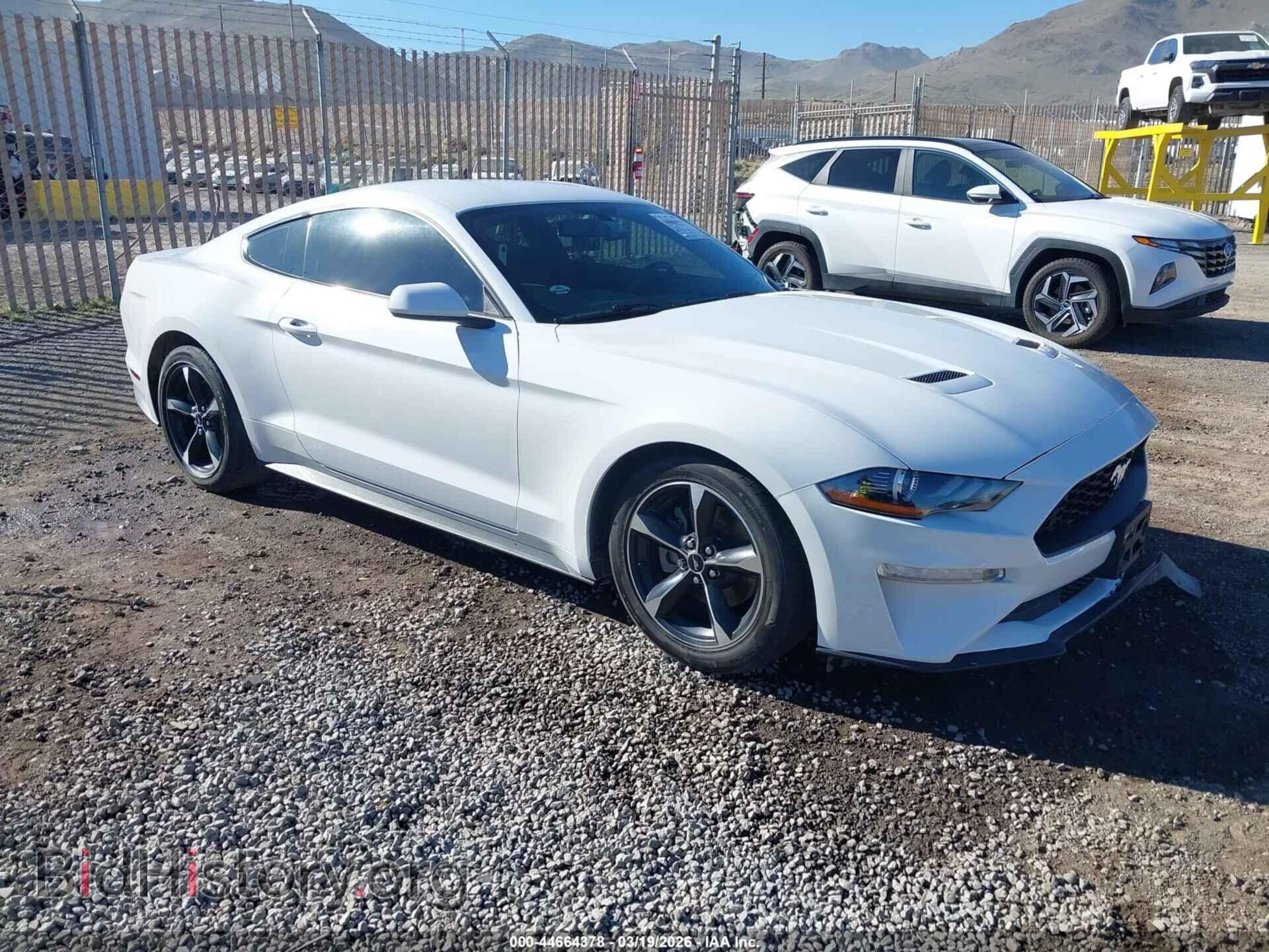 Фотография 1FA6P8TH0K5106384 - FORD MUSTANG 2019
