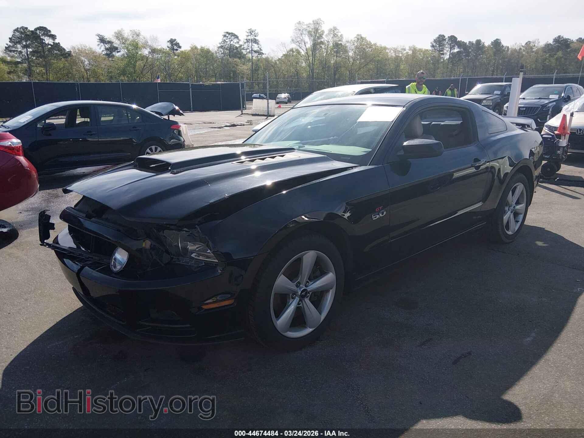 2013 FORD MUSTANG - VIN: 1ZVBP8CF0D5223230 - Фото 2
