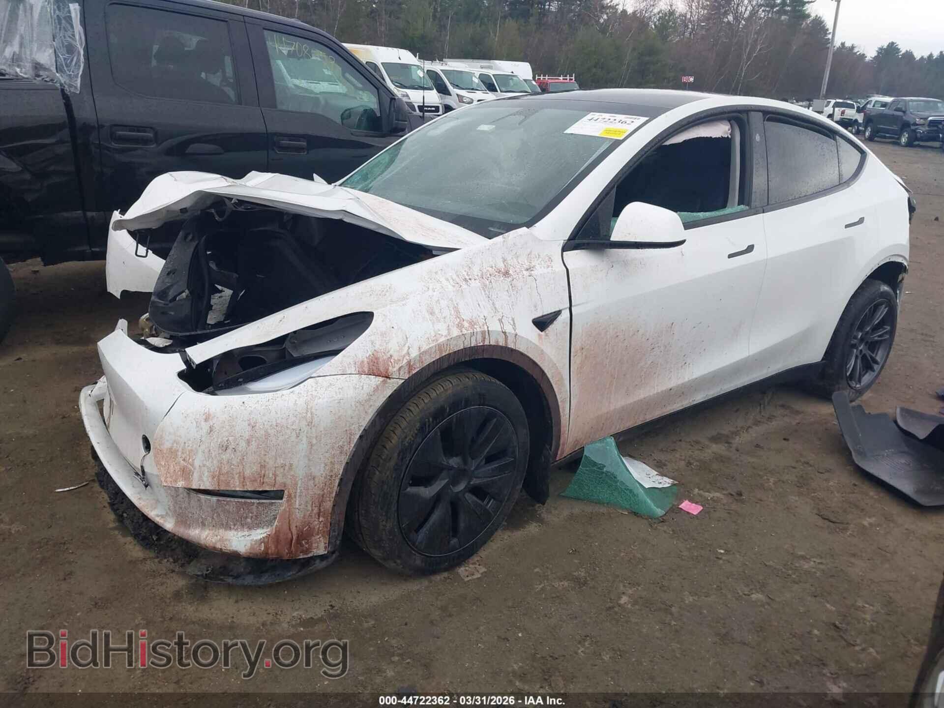 2024 TESLA MODEL Y - VIN: 7SAYGDEE2RF152521 - Фото 2