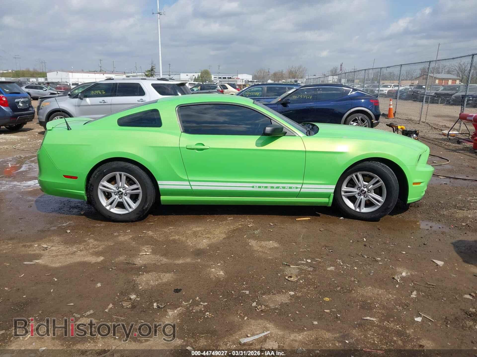 2013 FORD MUSTANG - VIN: 1ZVBP8AM6D5254399 - Фото 13