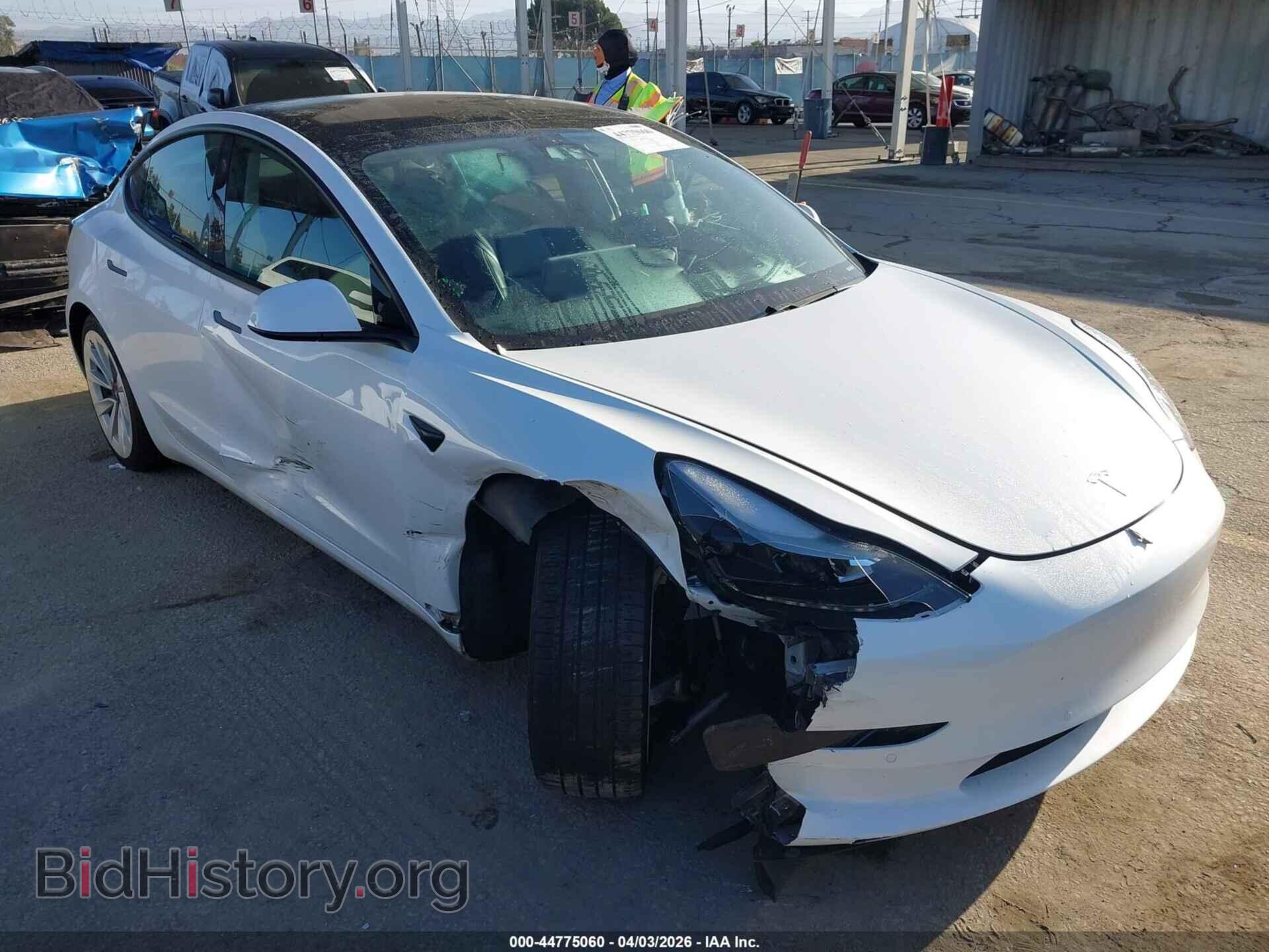 Photo 5YJ3E1EB6MF997379 - TESLA MODEL 3 2021