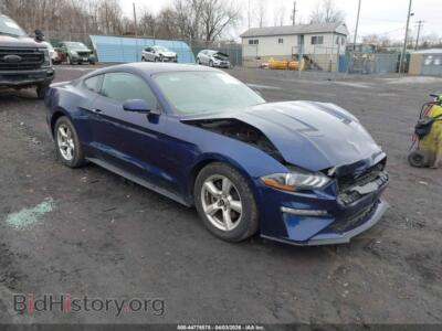 2019 Ford MUSTANG Ecoboost, blue — VIN 1FA6P8THXK5117814, IAAI