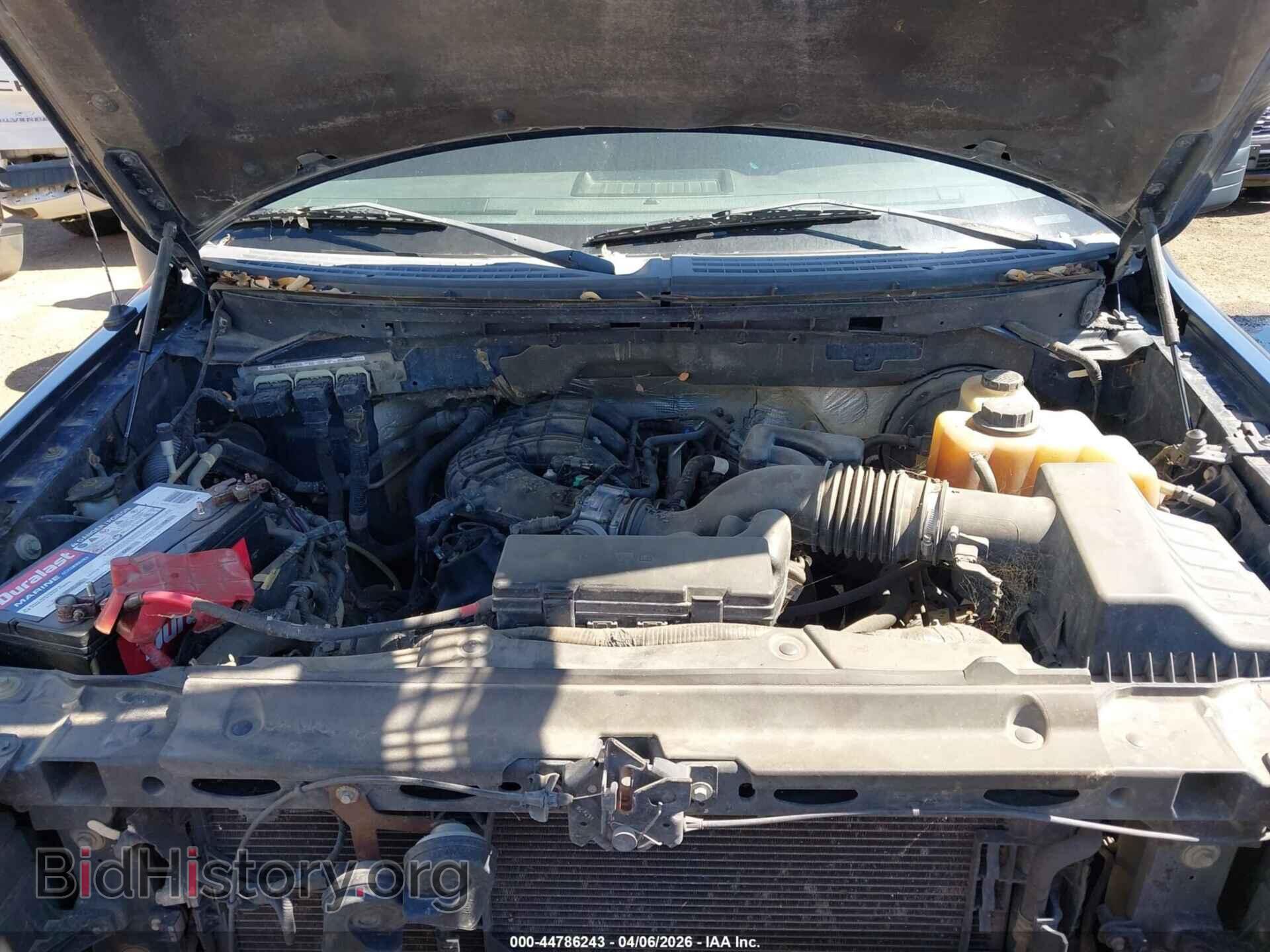 2011 FORD F-150 - VIN: 1FTEW1CM8BFB42587 - Фото 10