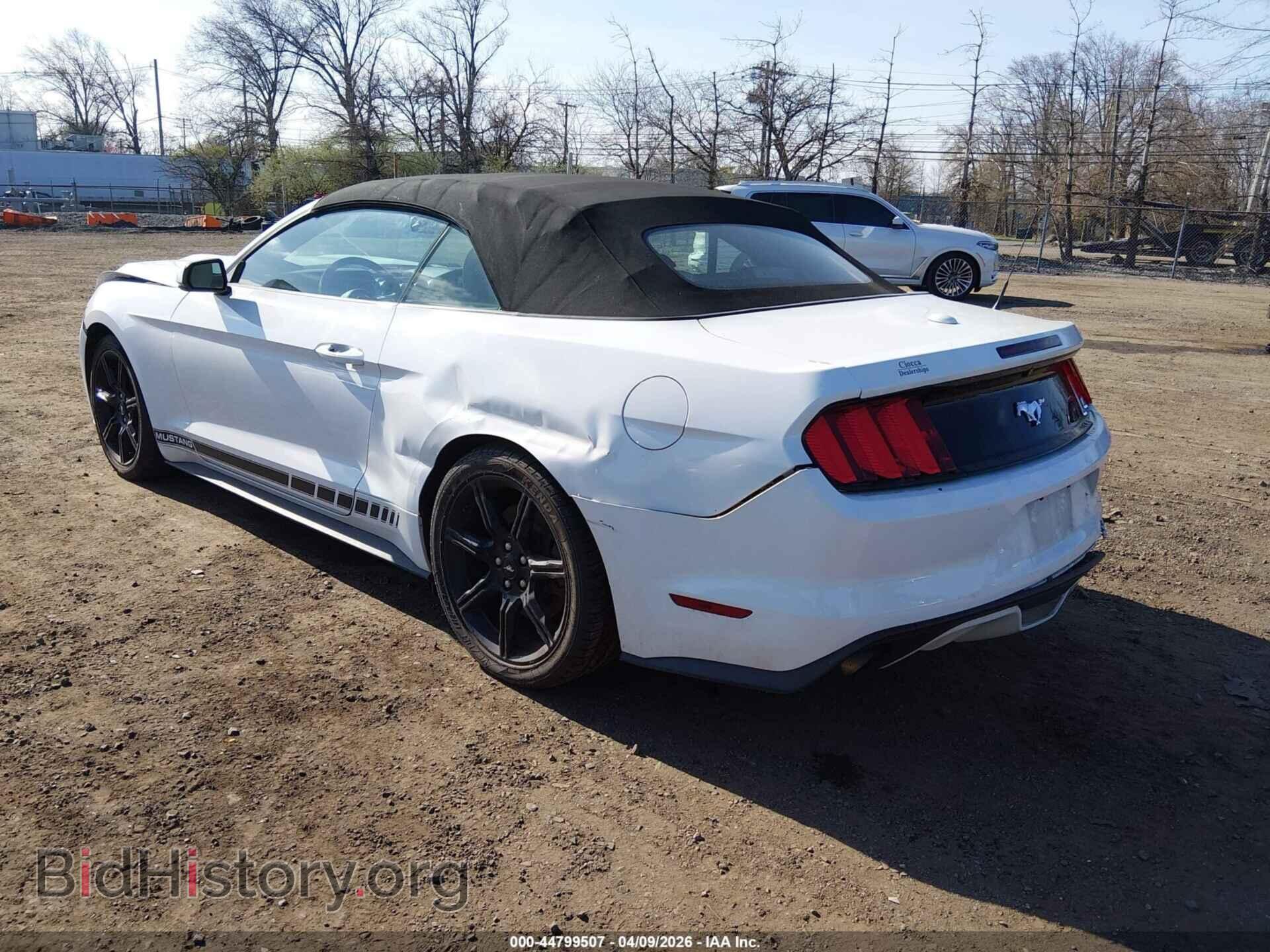 2015 FORD MUSTANG - VIN: 1FATP8UH7F5331781 - Фото 3