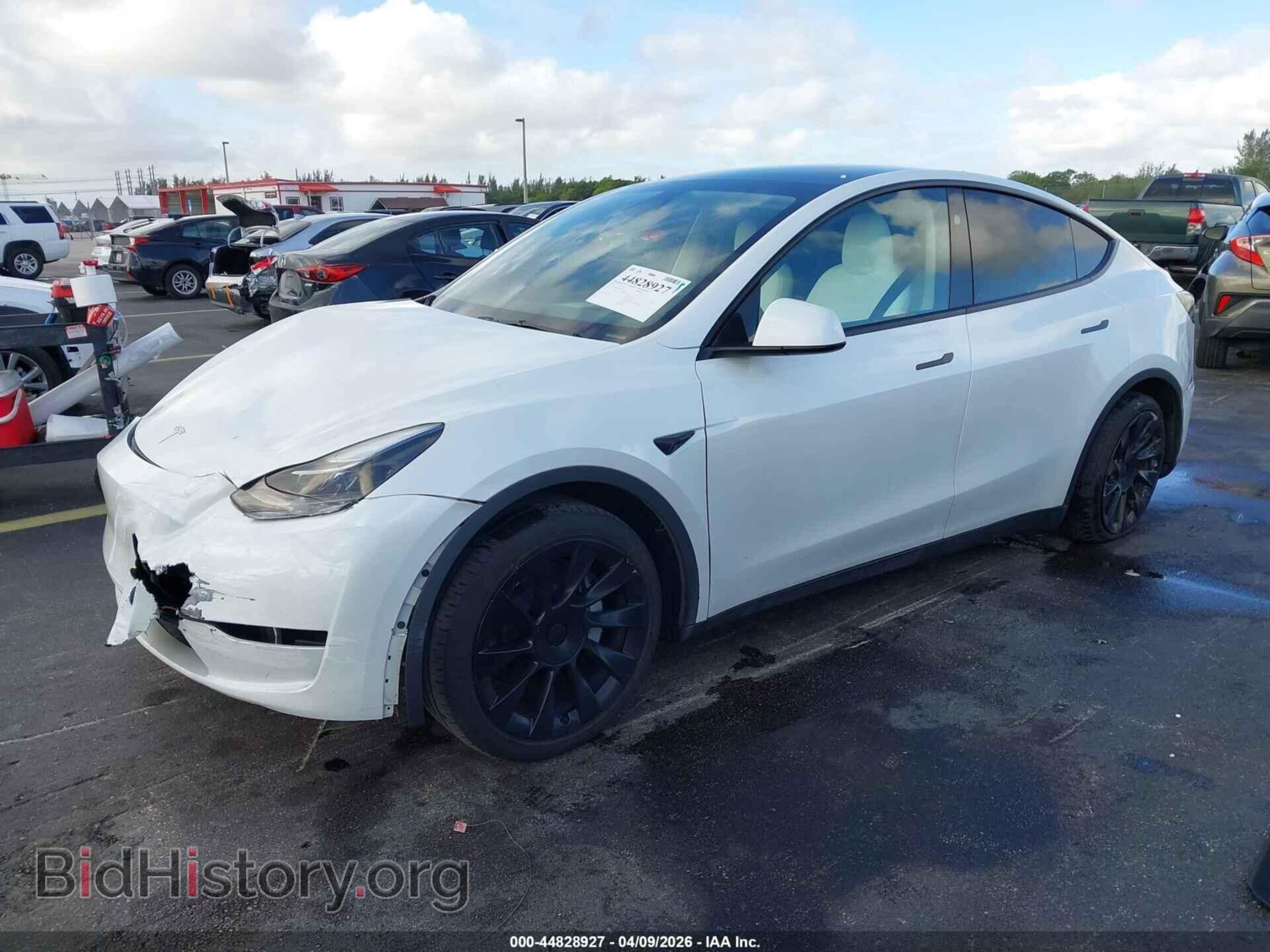 2023 TESLA MODEL Y - VIN: 7SAYGDED9PF965598 - Фото 2