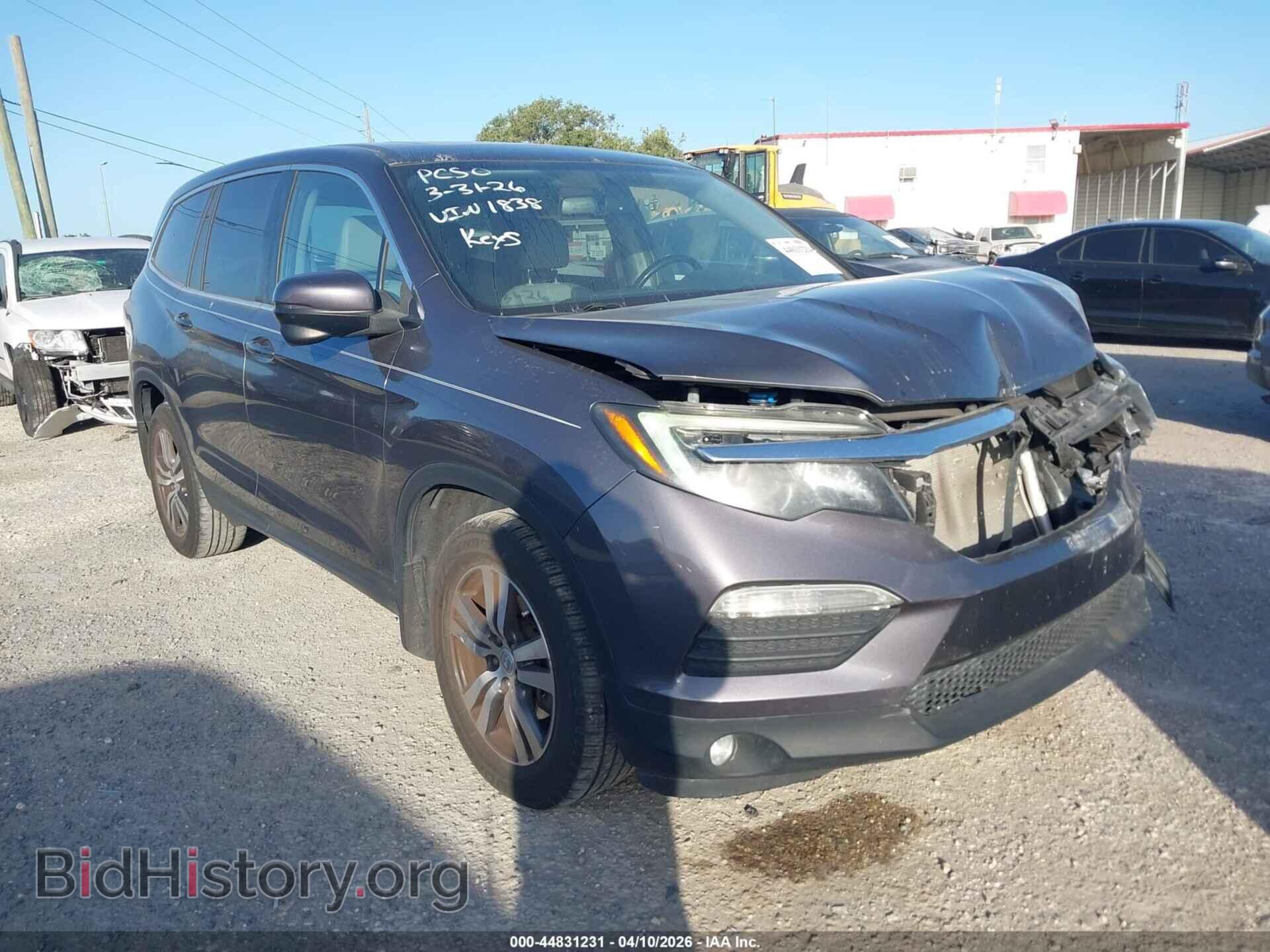 Фотография 5FNYF5H54JB021838 - HONDA PILOT 2018