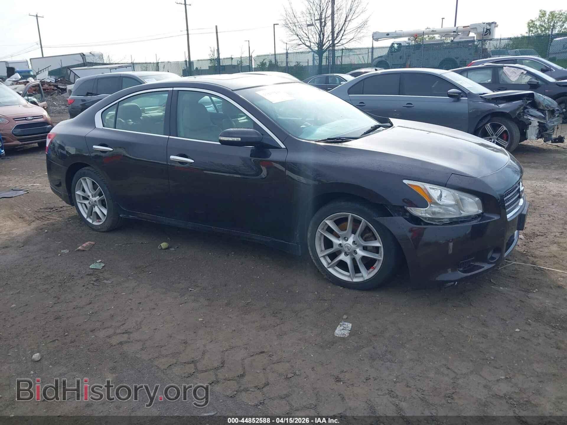 Photo 1N4AA5AP1BC841441 - NISSAN MAXIMA 2011