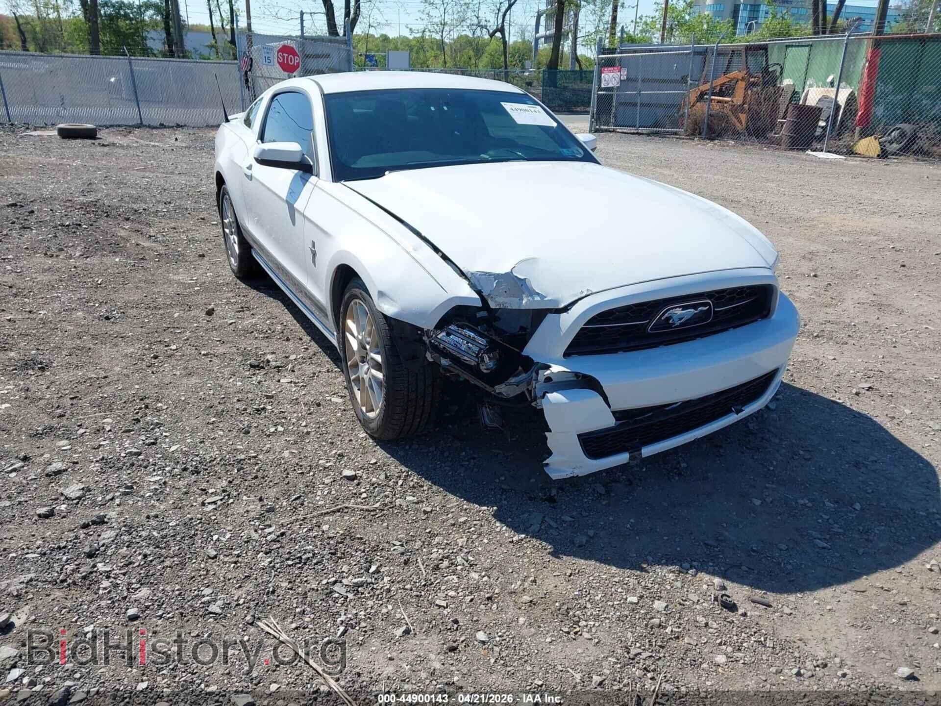 2014 FORD MUSTANG - VIN: 1ZVBP8AM9E5200192 - Фото 6