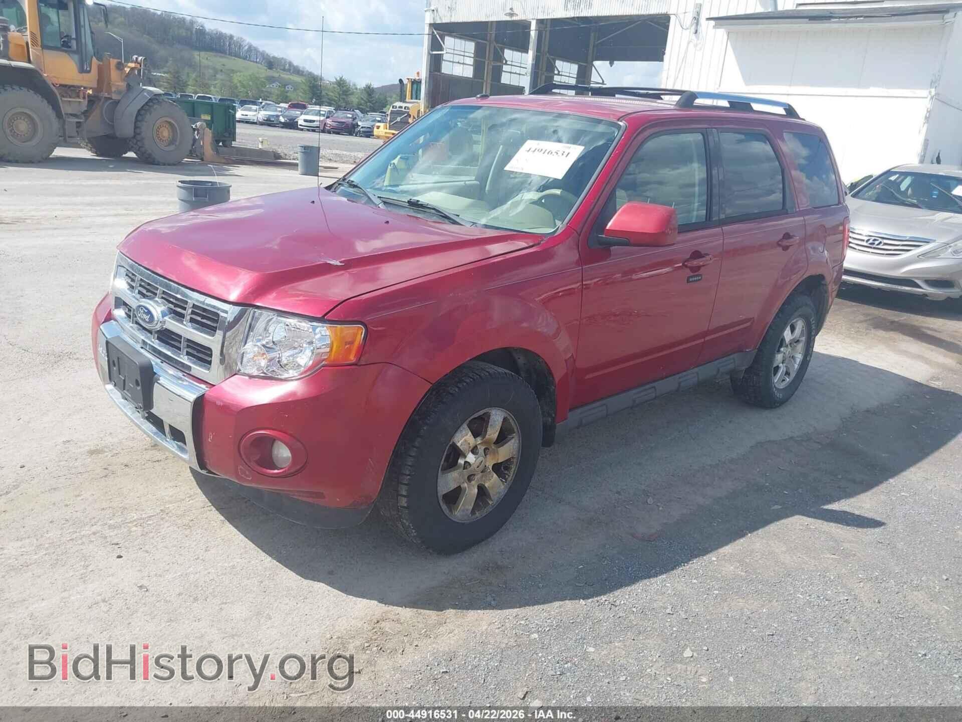 2011 FORD ESCAPE - VIN: 1FMCU9EG5BKC43589 - Фото 2
