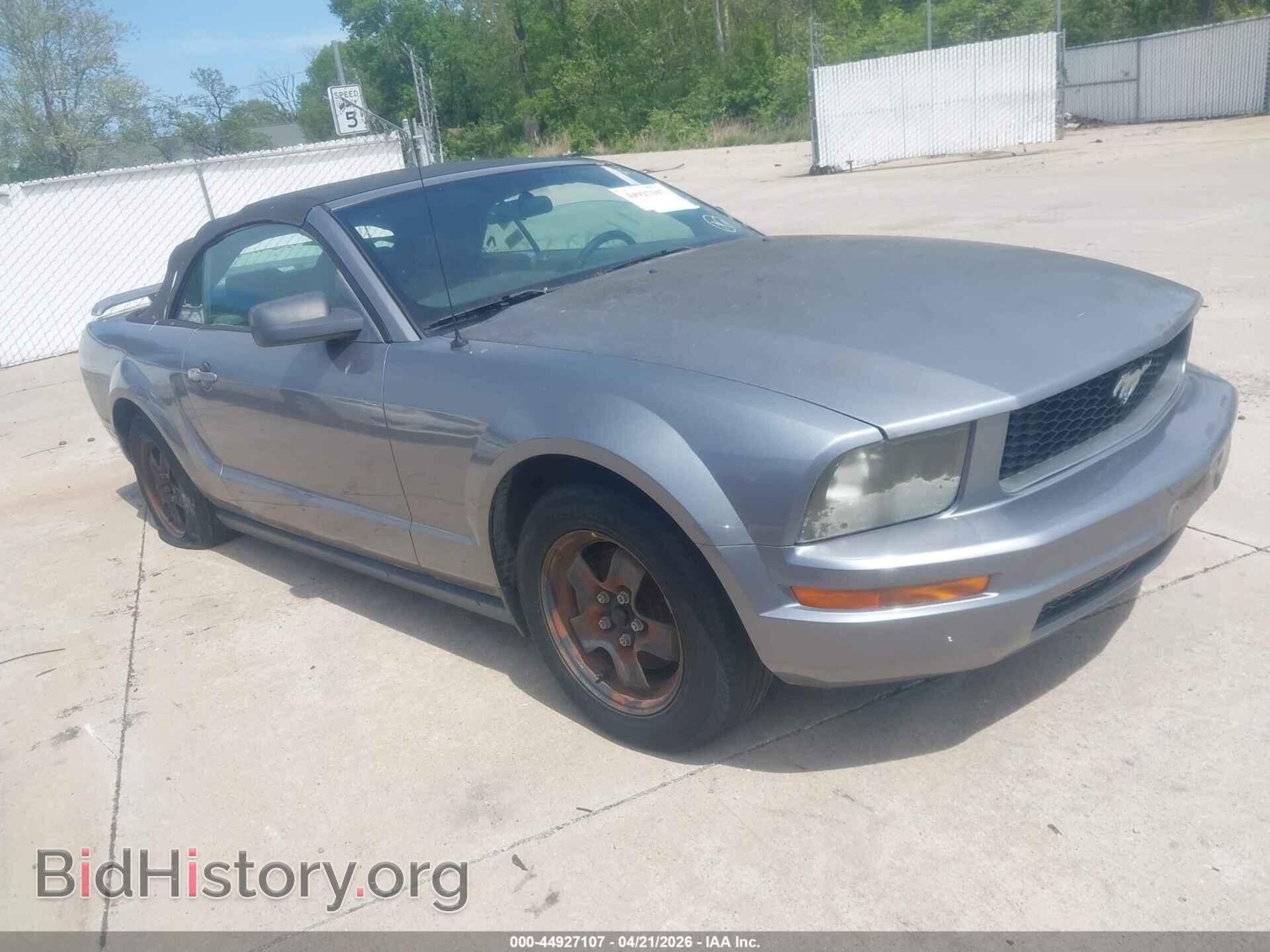 Photo 1ZVFT84N565105986 - FORD MUSTANG 2006