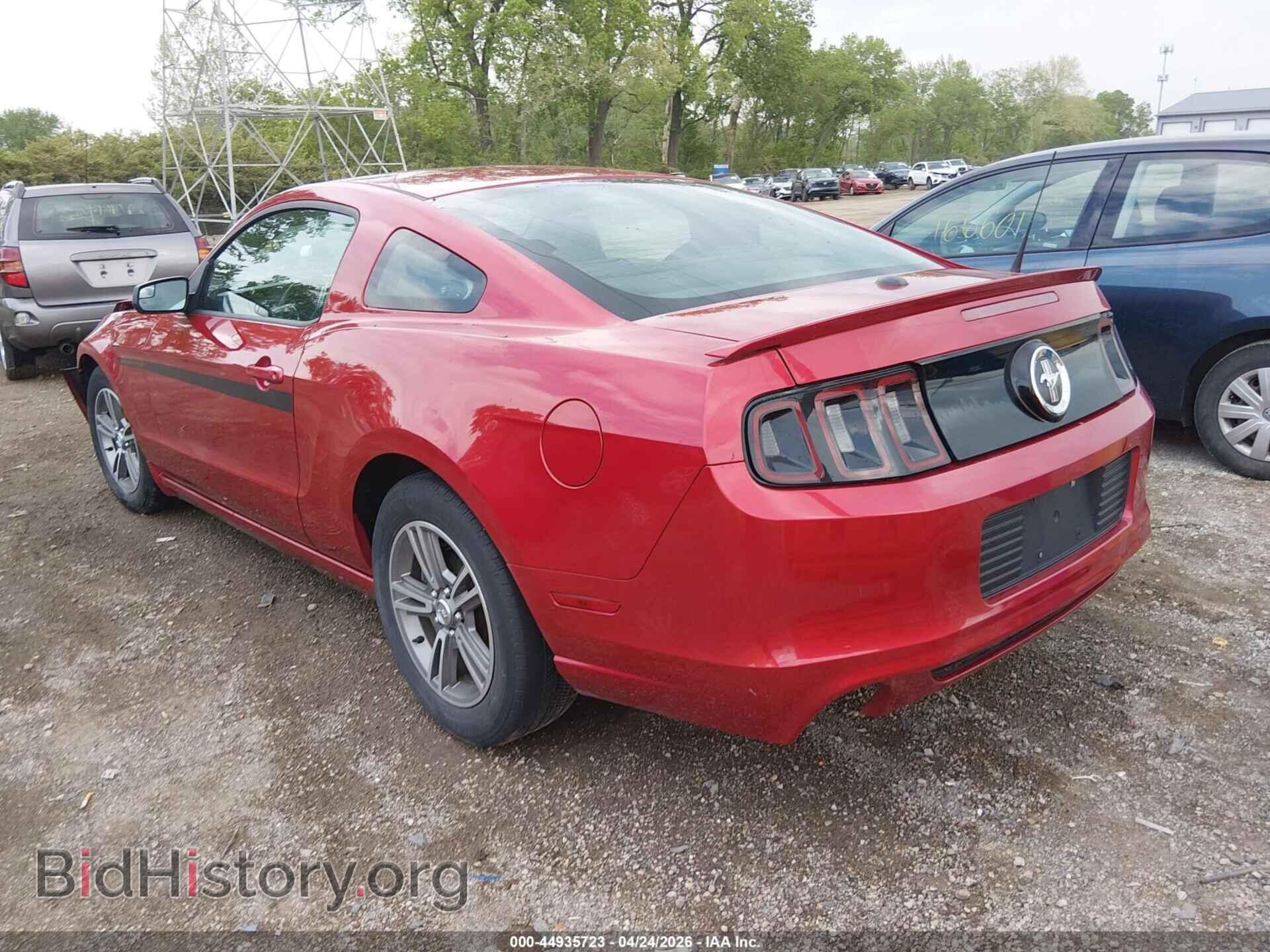 2013 FORD MUSTANG - VIN: 1ZVBP8AM2D5231671 - Фото 3