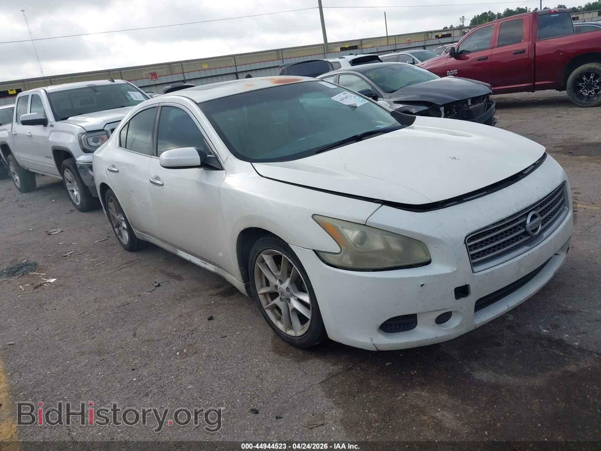 Photo 1N4AA5AP1BC864573 - NISSAN MAXIMA 2011